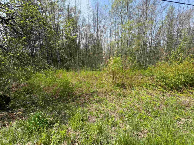 $80,000 | Lot 4 Oregon Road, Lunenburg, VT 05906