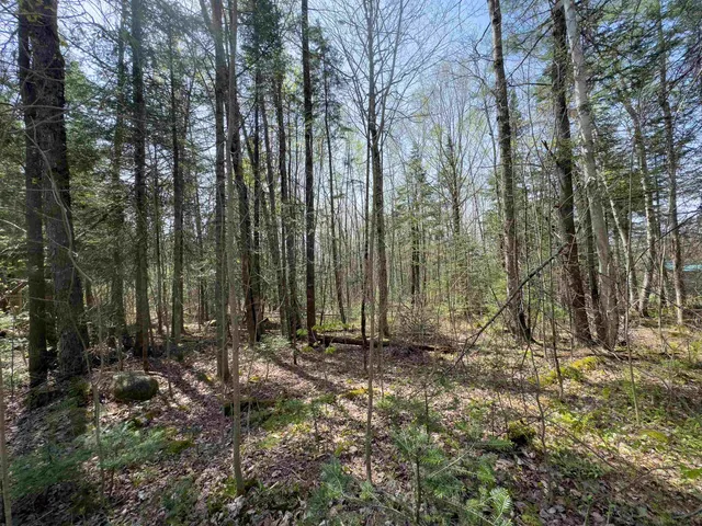 $80,000 | Lot 4 Oregon Road, Lunenburg, VT 05906