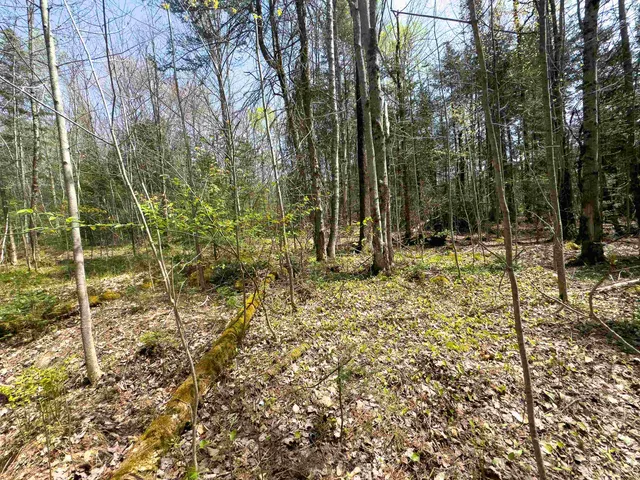 $80,000 | Lot 4 Oregon Road, Lunenburg, VT 05906