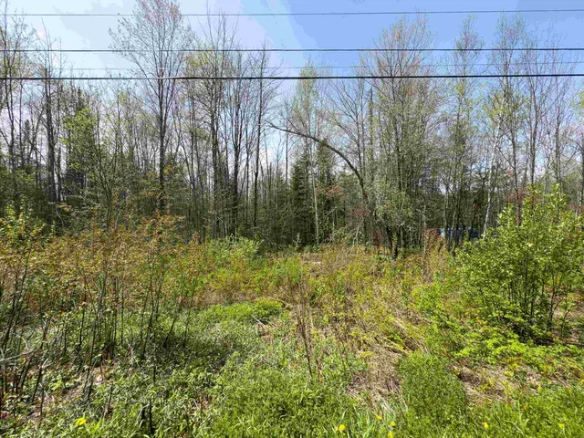 $80,000 | Lot 4 Oregon Road, Lunenburg, VT 05906
