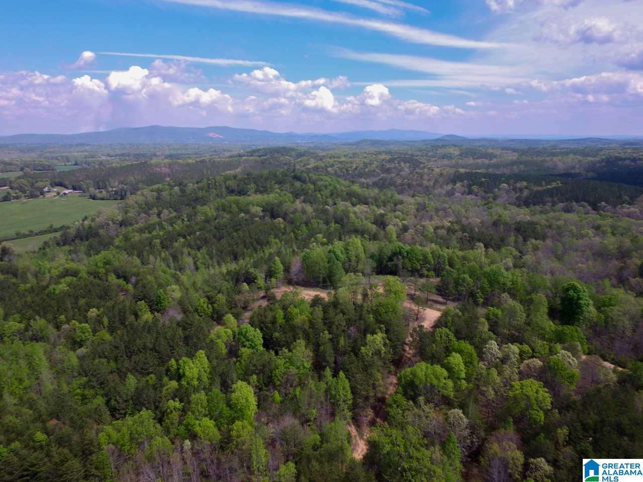 0 Henderson Lake Road, Unit 128 Munford, AL 36268 - Photo 31 of 31
