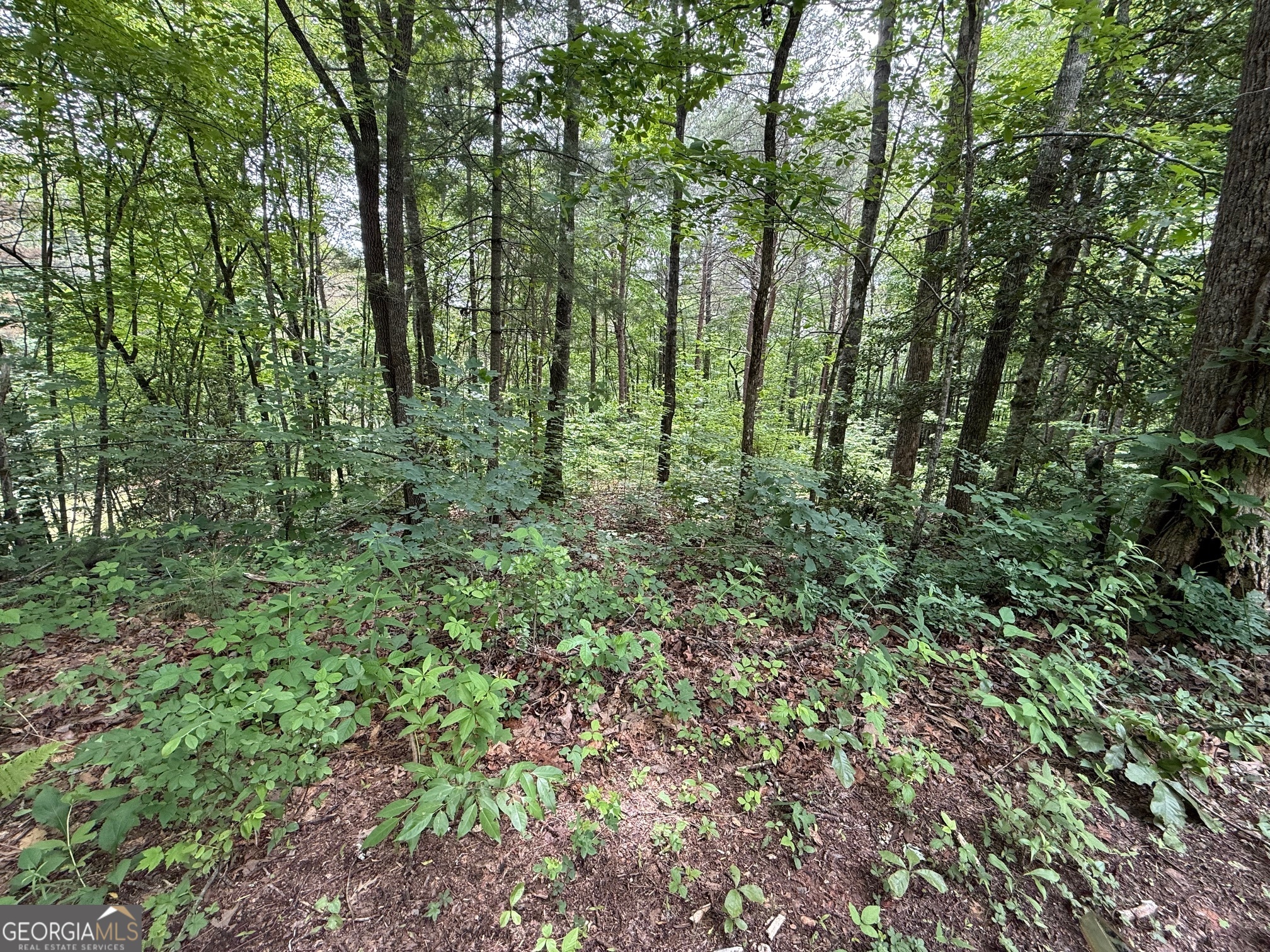 0 Mr Bert Road Hiawassee, GA 30546 - Photo 8 of 22