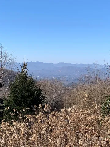 $795,000 | 9999 Ebby Ridge Road, Unit 336, Fairview, NC 28730