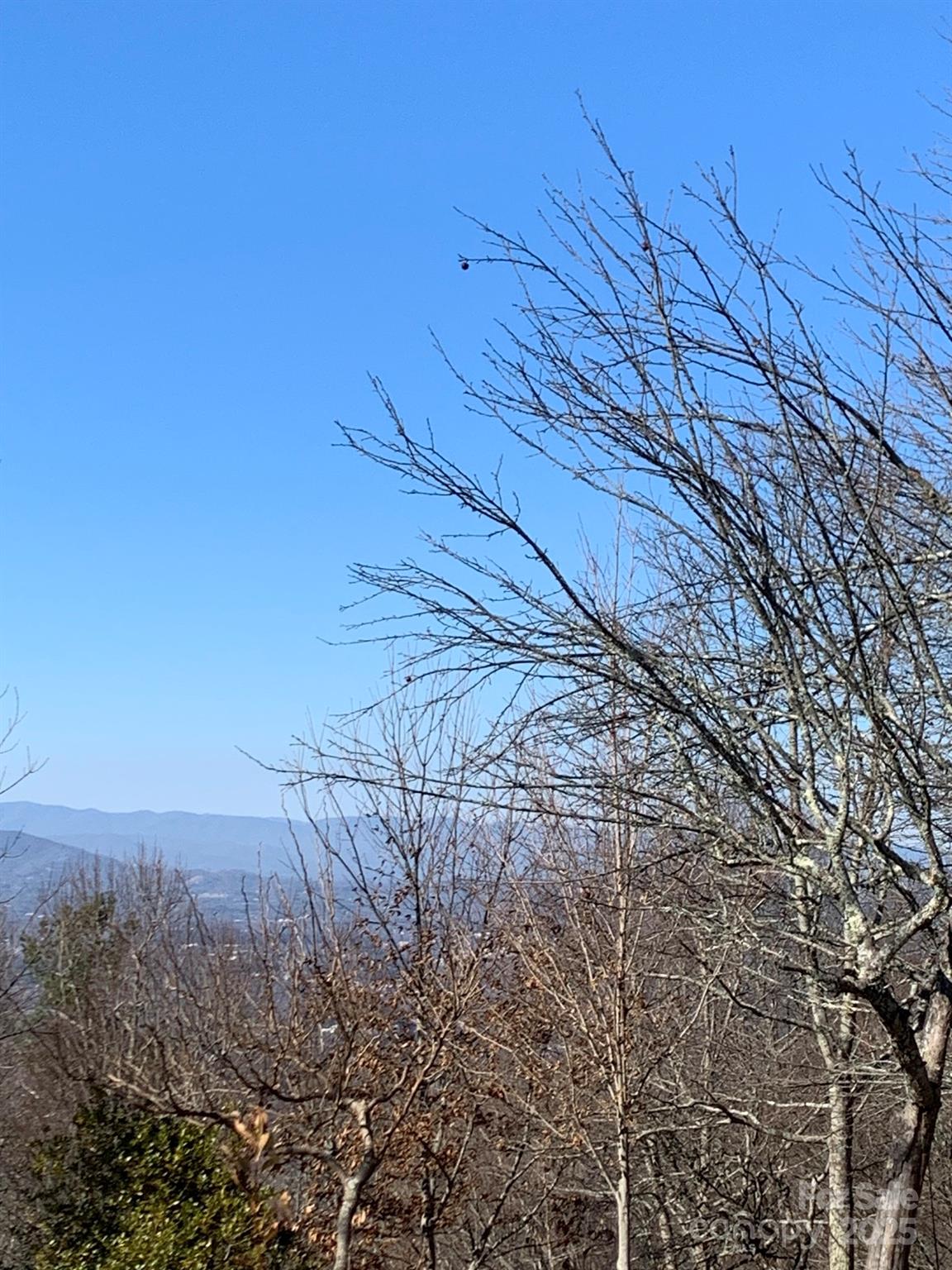 9999 Ebby Ridge Road, Unit 336 Fairview, NC 28730 - Photo 3 of 8