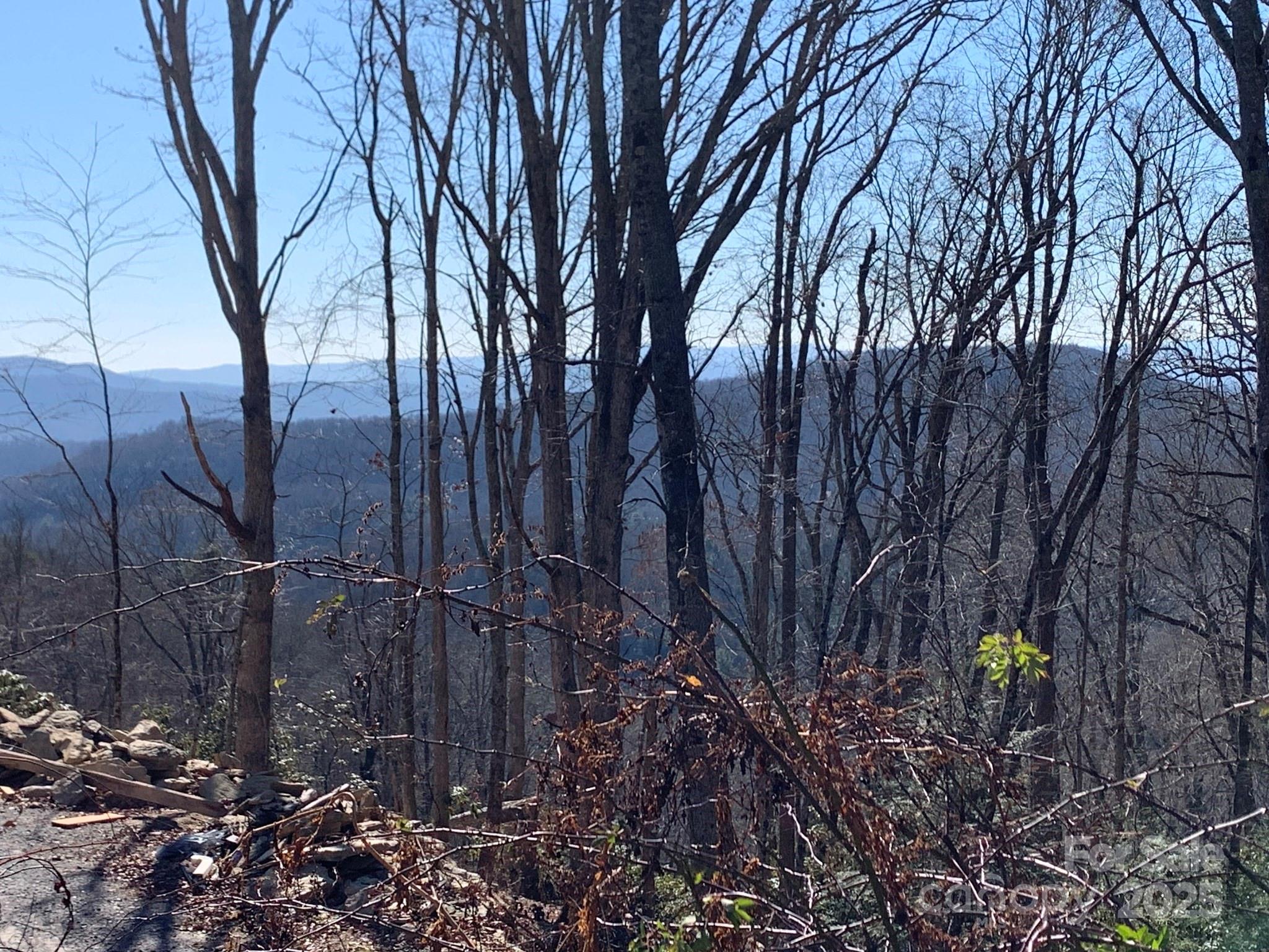 9999 Ebby Ridge Road, Unit 336 Fairview, NC 28730 - Photo 4 of 8