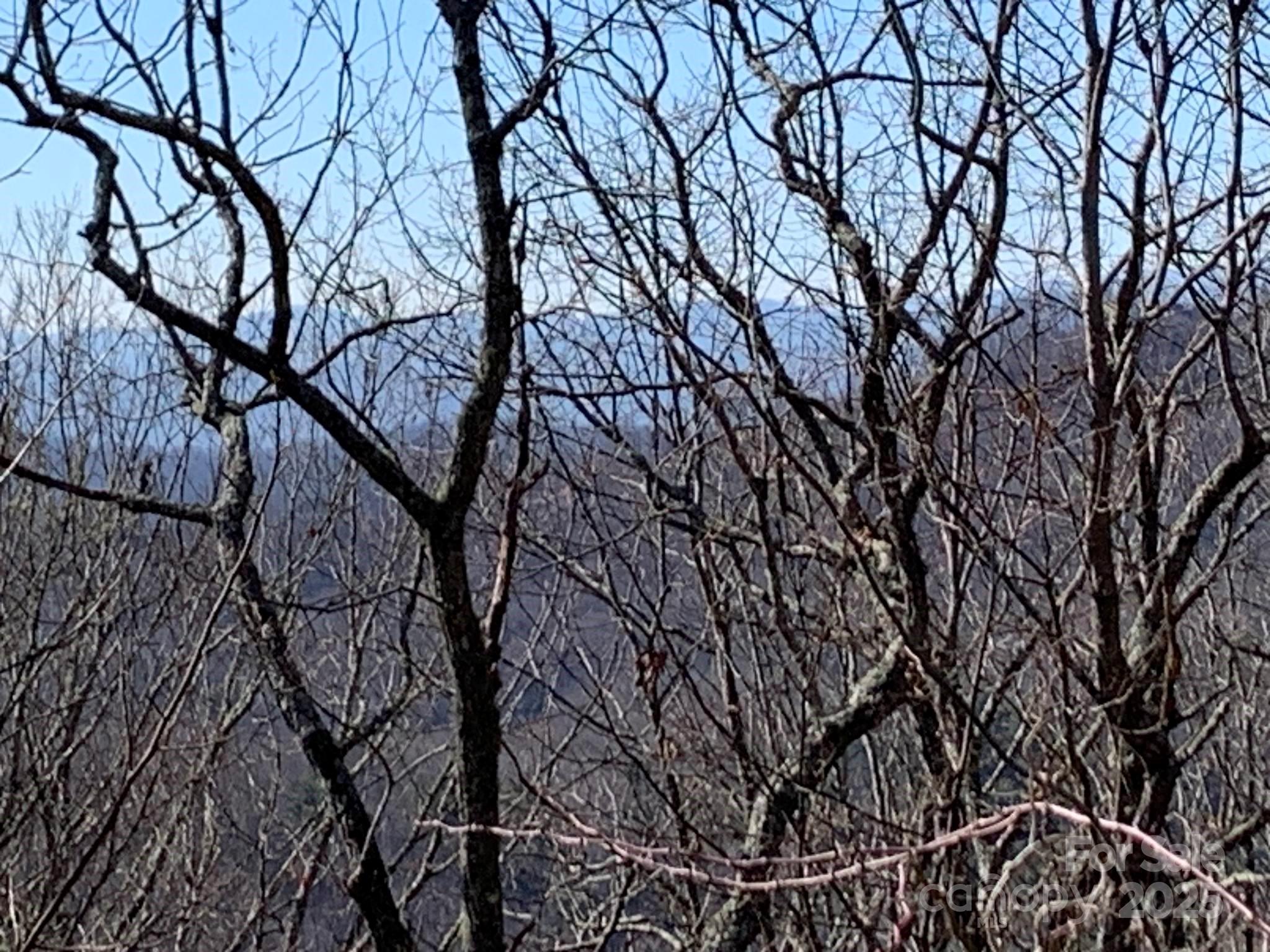 9999 Ebby Ridge Road, Unit 336 Fairview, NC 28730 - Photo 5 of 8