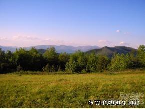 9999 Ebby Ridge Road, Unit 336 Fairview, NC 28730 - Photo 6 of 8
