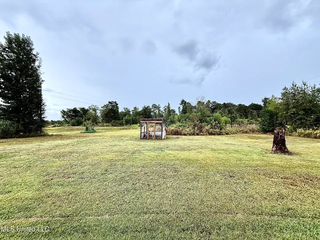 $385,000 | 263 J W Daniels Road, Oak Vale, MS 39656