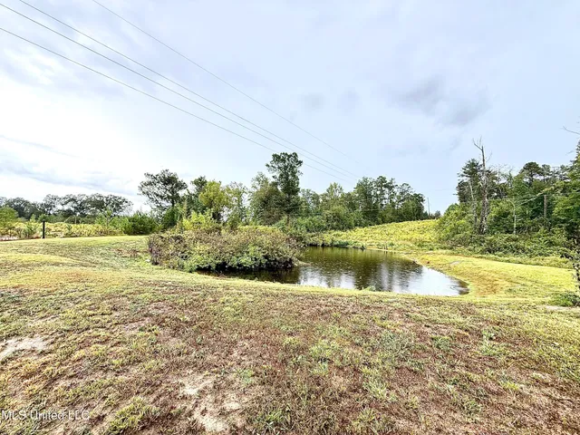 $385,000 | 263 J W Daniels Road, Oak Vale, MS 39656