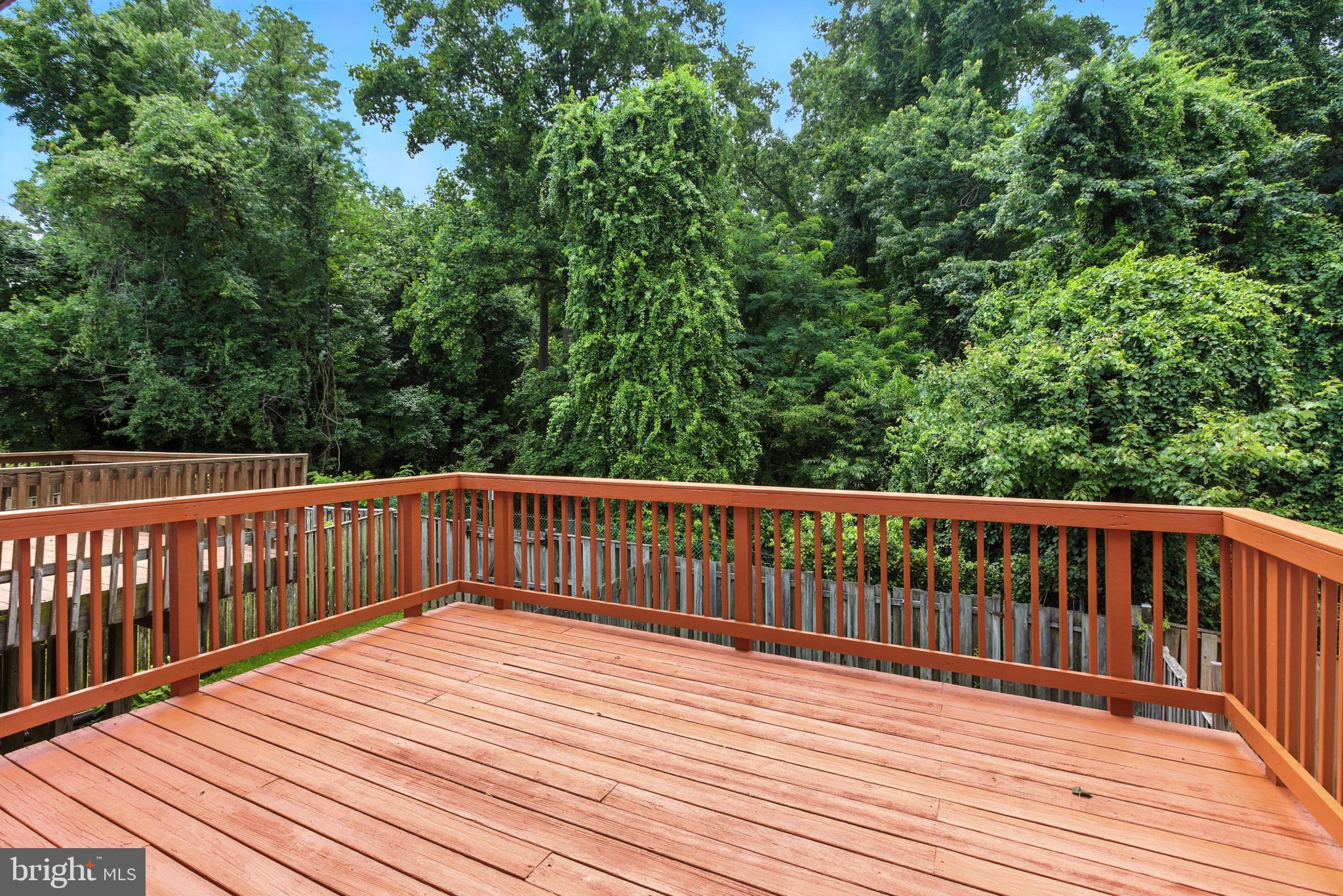 1205 Twig Terrace Silver Spring, MD 20905 - Photo 4 of 25 a terrace view