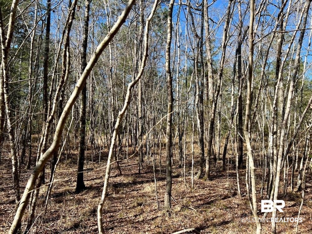 0 Country Road Deer Park, AL 36529 - Photo 18 of 46
