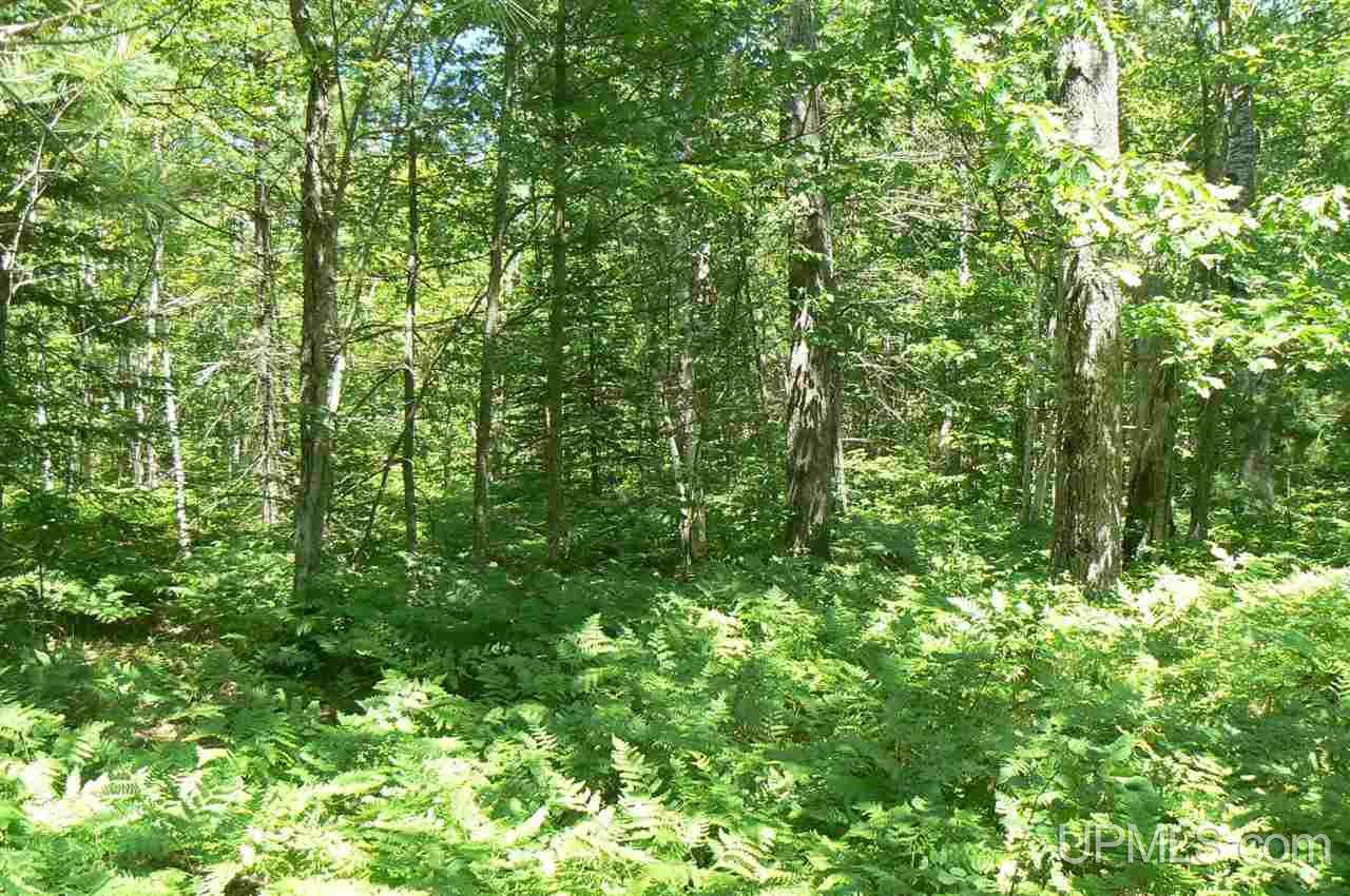 N5491 Chamberlain Road, Unit PARCEL A & B Wetmore, MI 49895 - Photo 17 of 21
