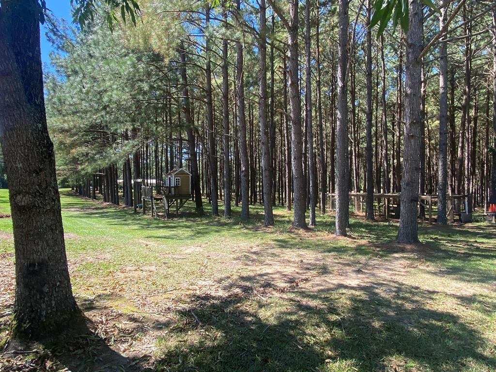 1915 Heucks Retreat Road Northeast Brookhaven, MS 39601 - Photo 29 of 37 Photo 29