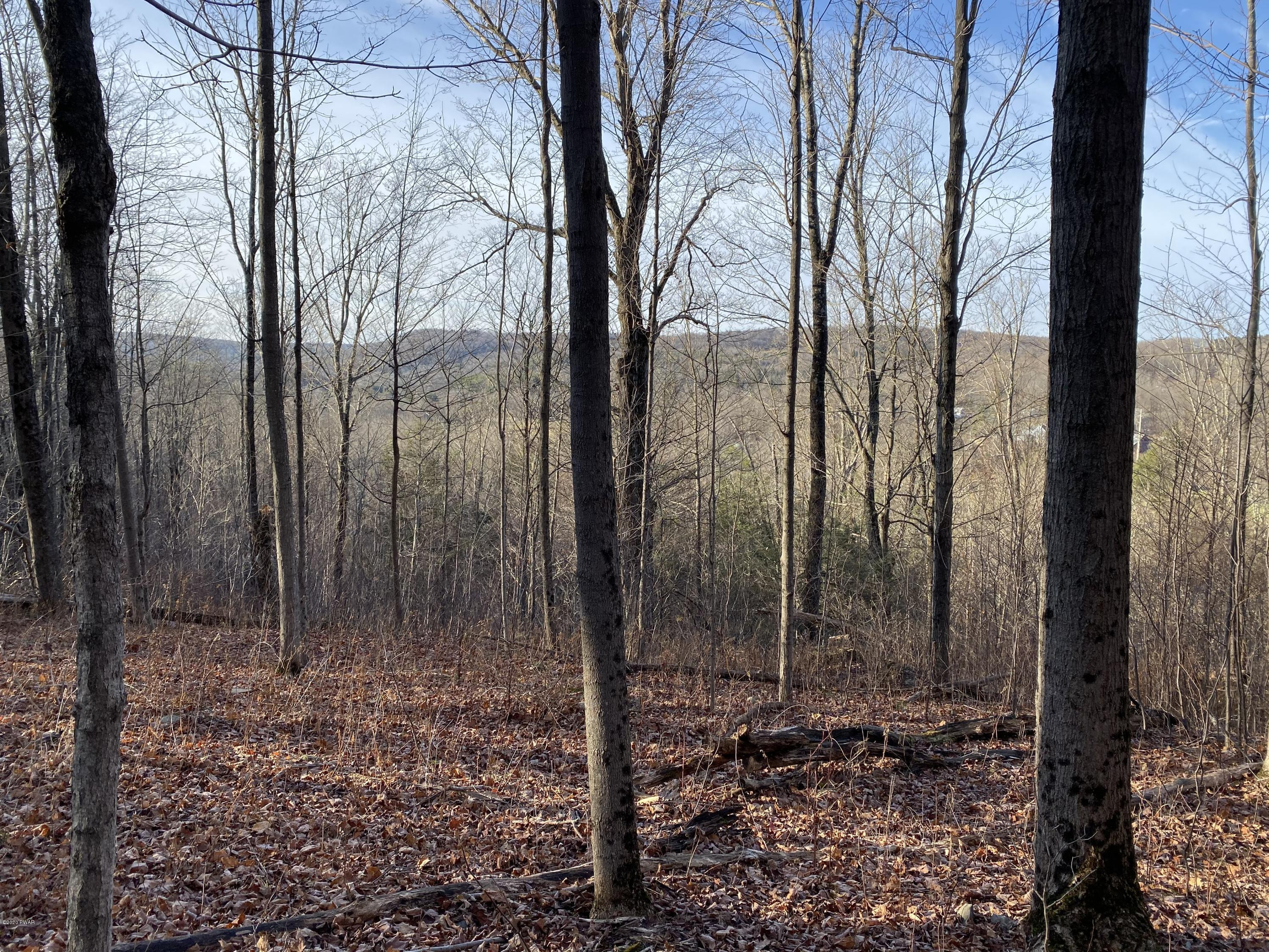Mountain View Road Newfoundland, PA 18445 - Photo 10 of 15