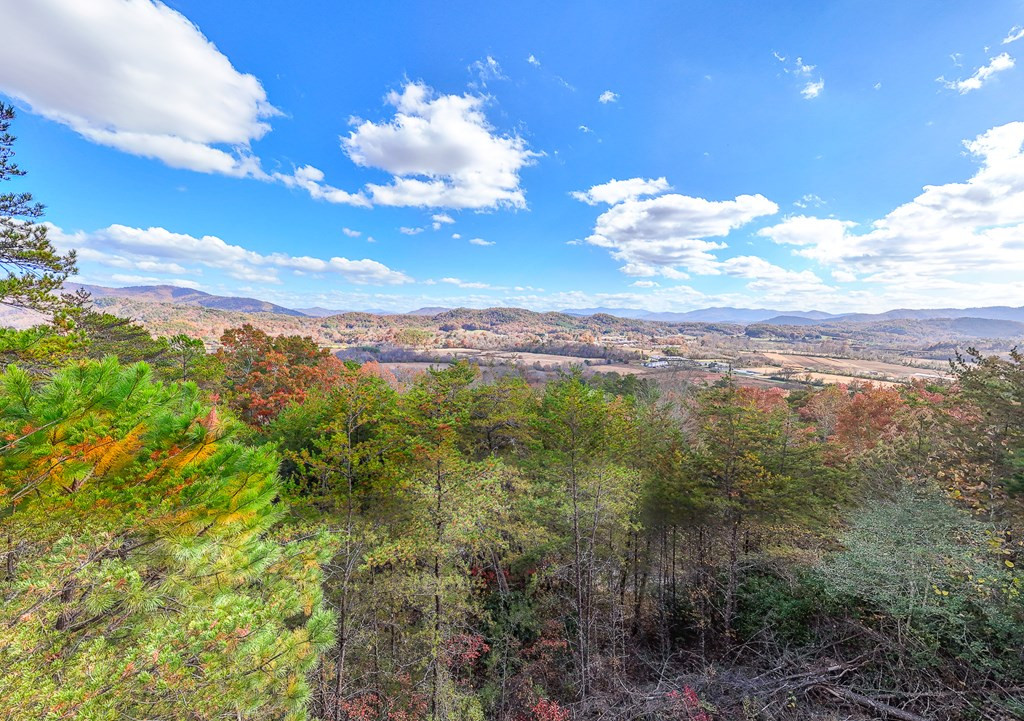 0 Mistletoe Ridge Murphy, NC 28906 - Photo 7 of 34
