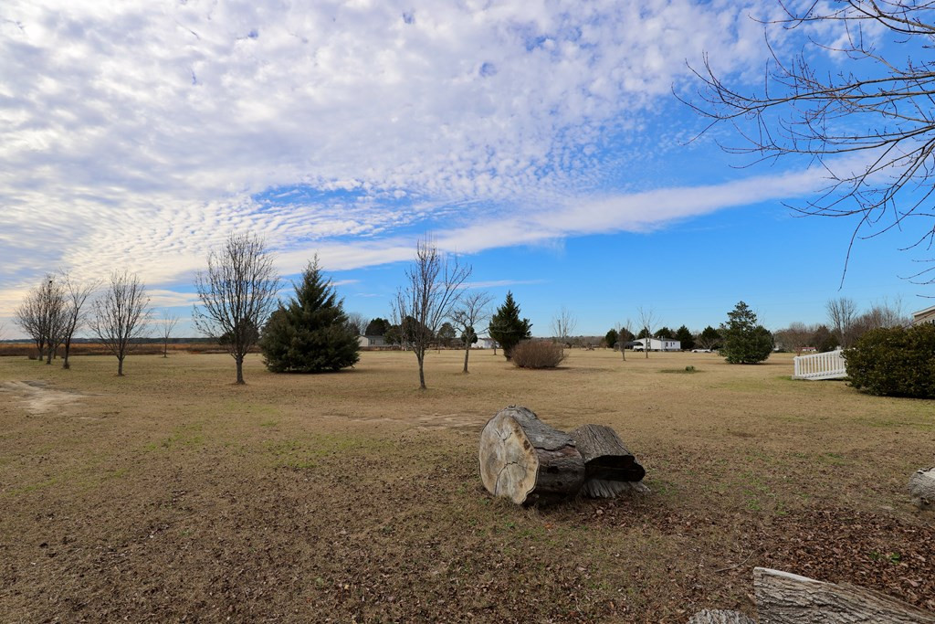 5285 Cannery Road Dalzell, SC 29040 - Photo 7 of 73 Gallery Image 7