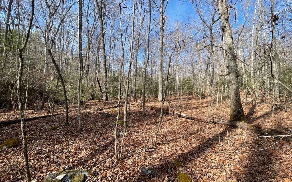 5.9-ac Voylestown Road Morganton, GA 30560 - Photo 22 of 22 Additional View