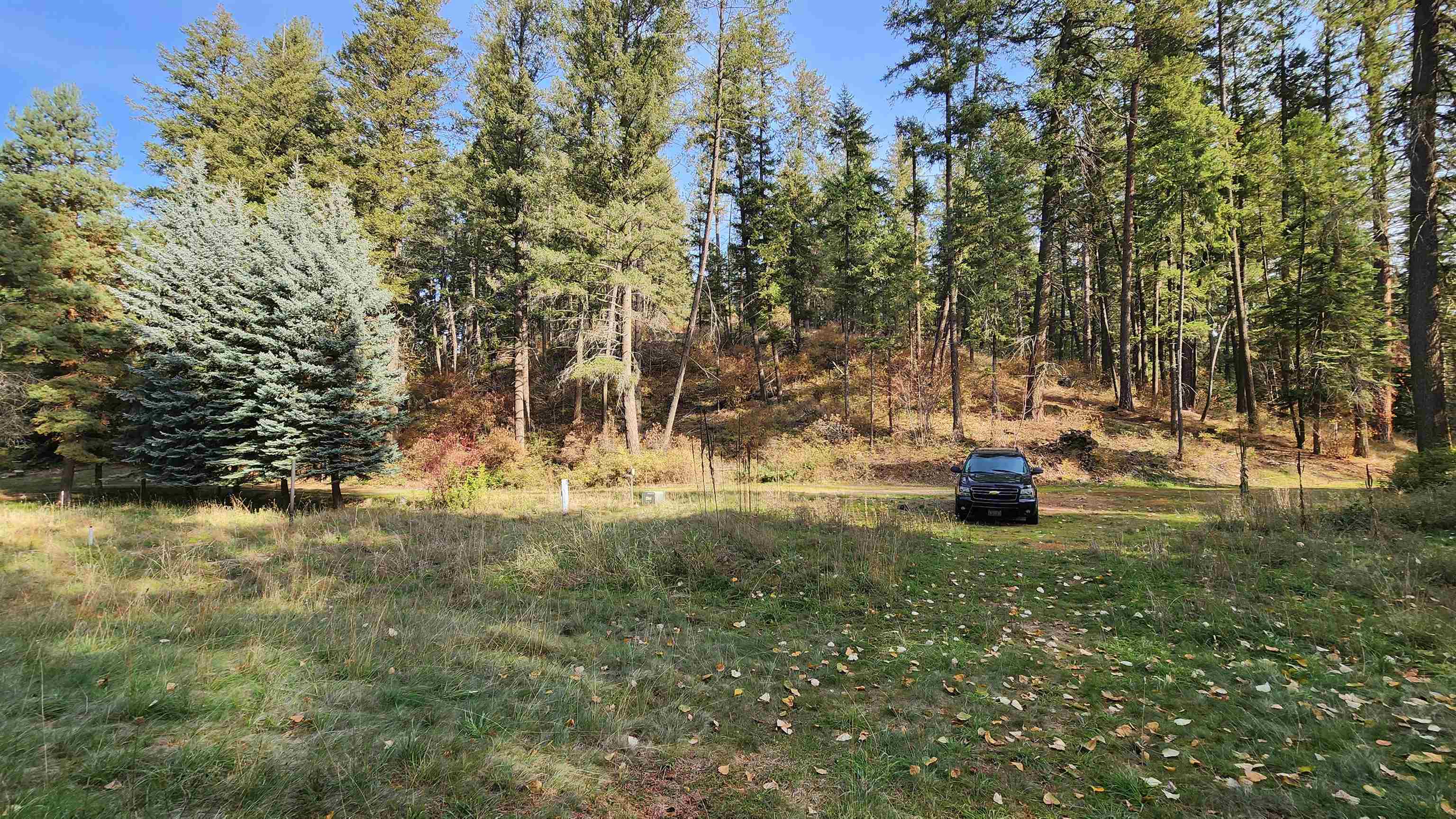 2309 East Oregon Road Elk, WA 99009 - Photo 8 of 14