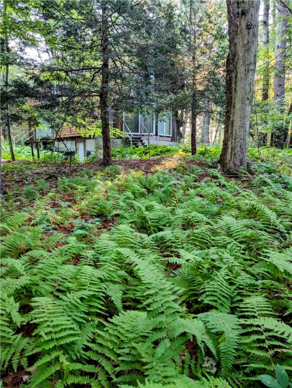 178 Pray Hill Road Glocester, RI 02814 - Photo 6 of 17