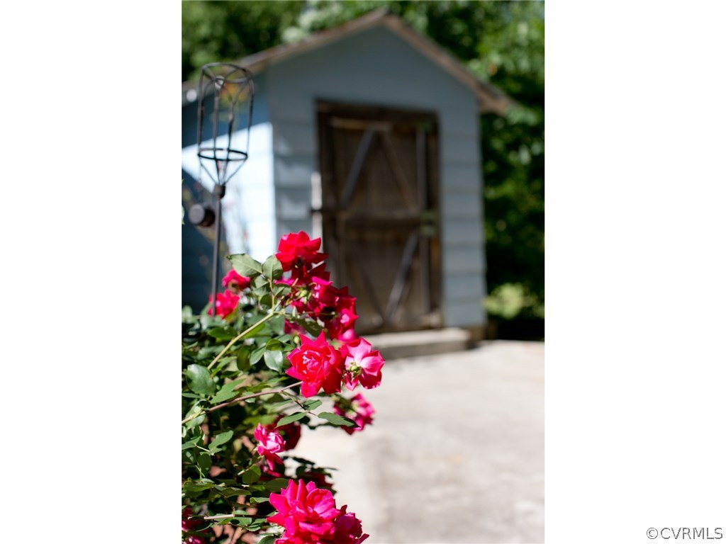 9361 West Bunker Hill Road Rice, VA 23966 - Photo 32 of 39 a picture of flowers in front of a house