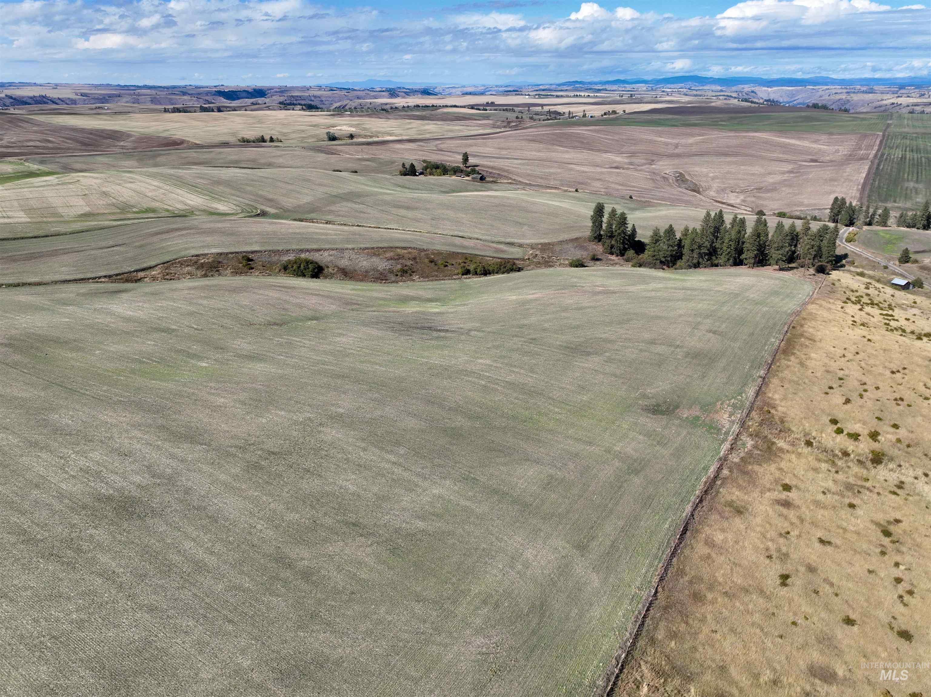 Tbd Tbd Central Ridge Road Craigmont, ID 83523 - Photo 14 of 35