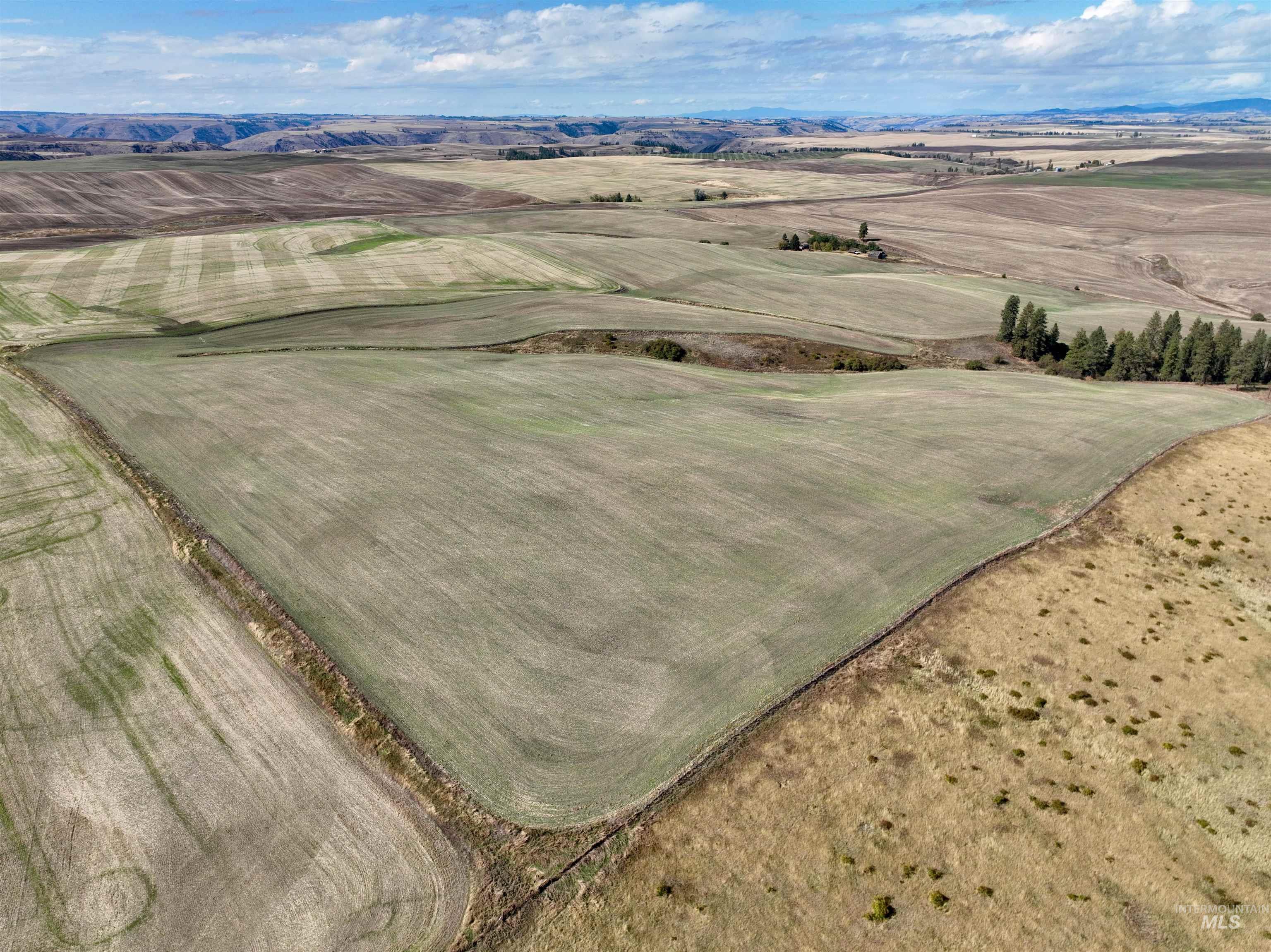 Tbd Tbd Central Ridge Road Craigmont, ID 83523 - Photo 15 of 35