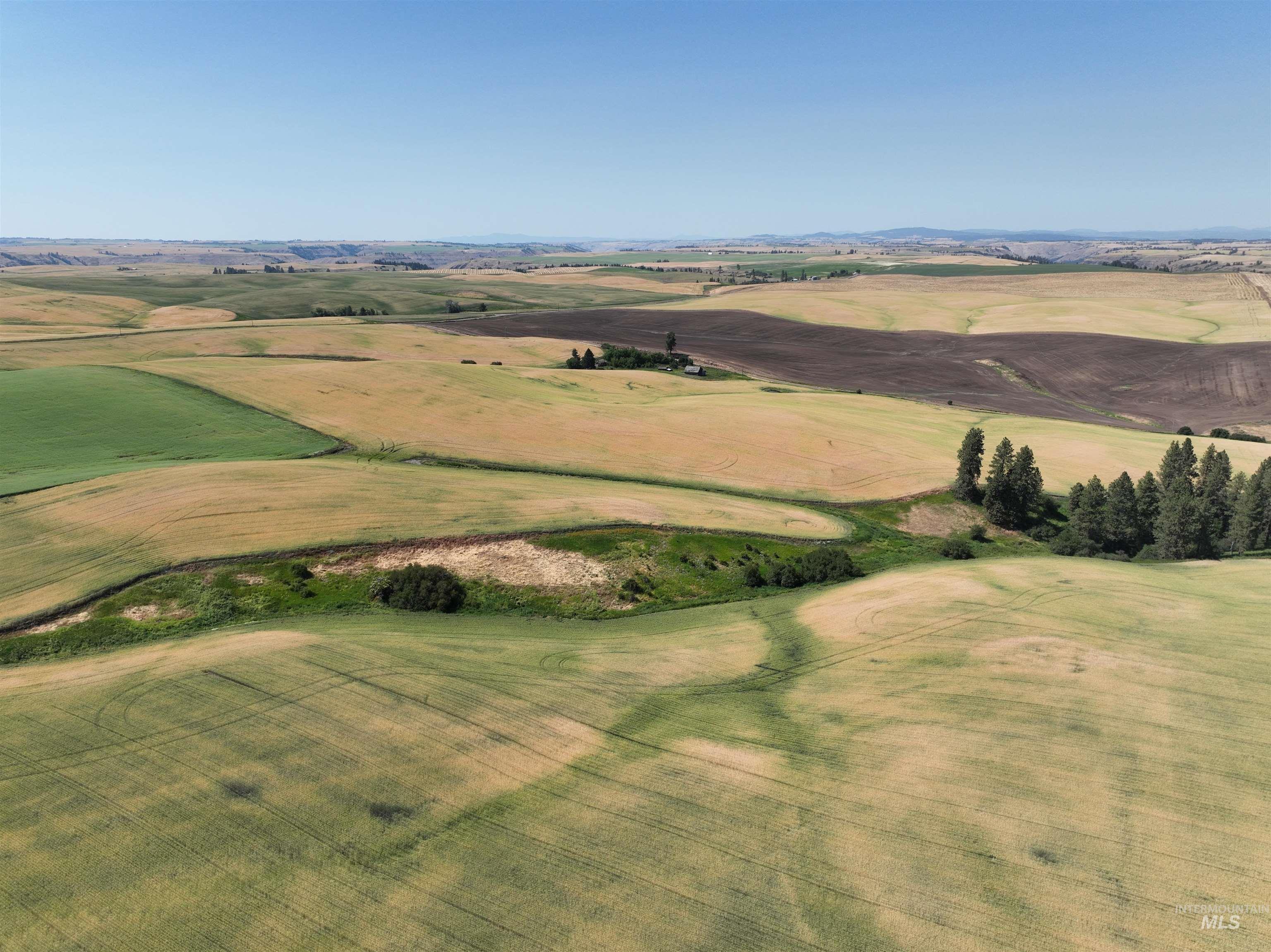 Tbd Tbd Central Ridge Road Craigmont, ID 83523 - Photo 21 of 35