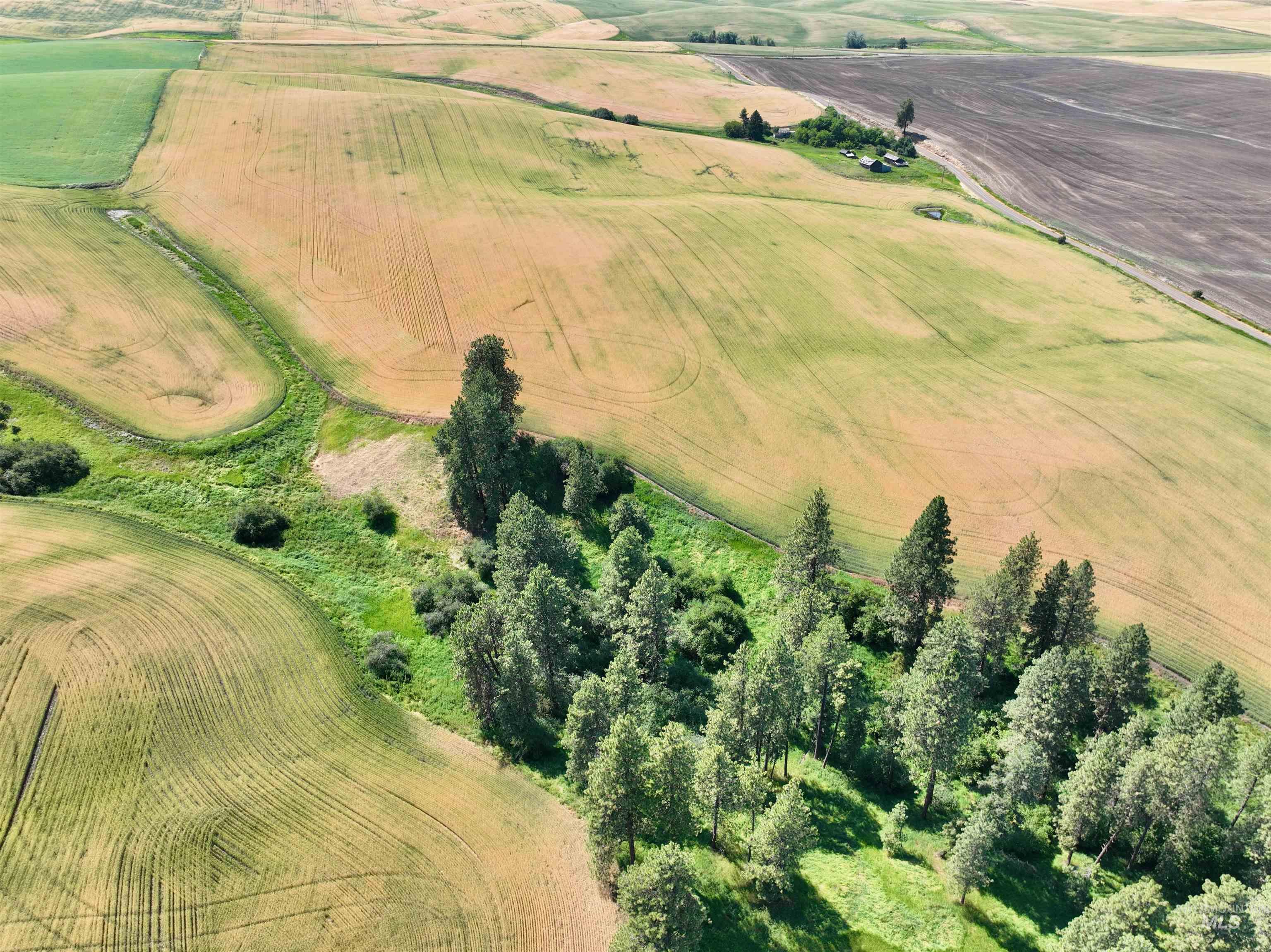 Tbd Tbd Central Ridge Road Craigmont, ID 83523 - Photo 22 of 35