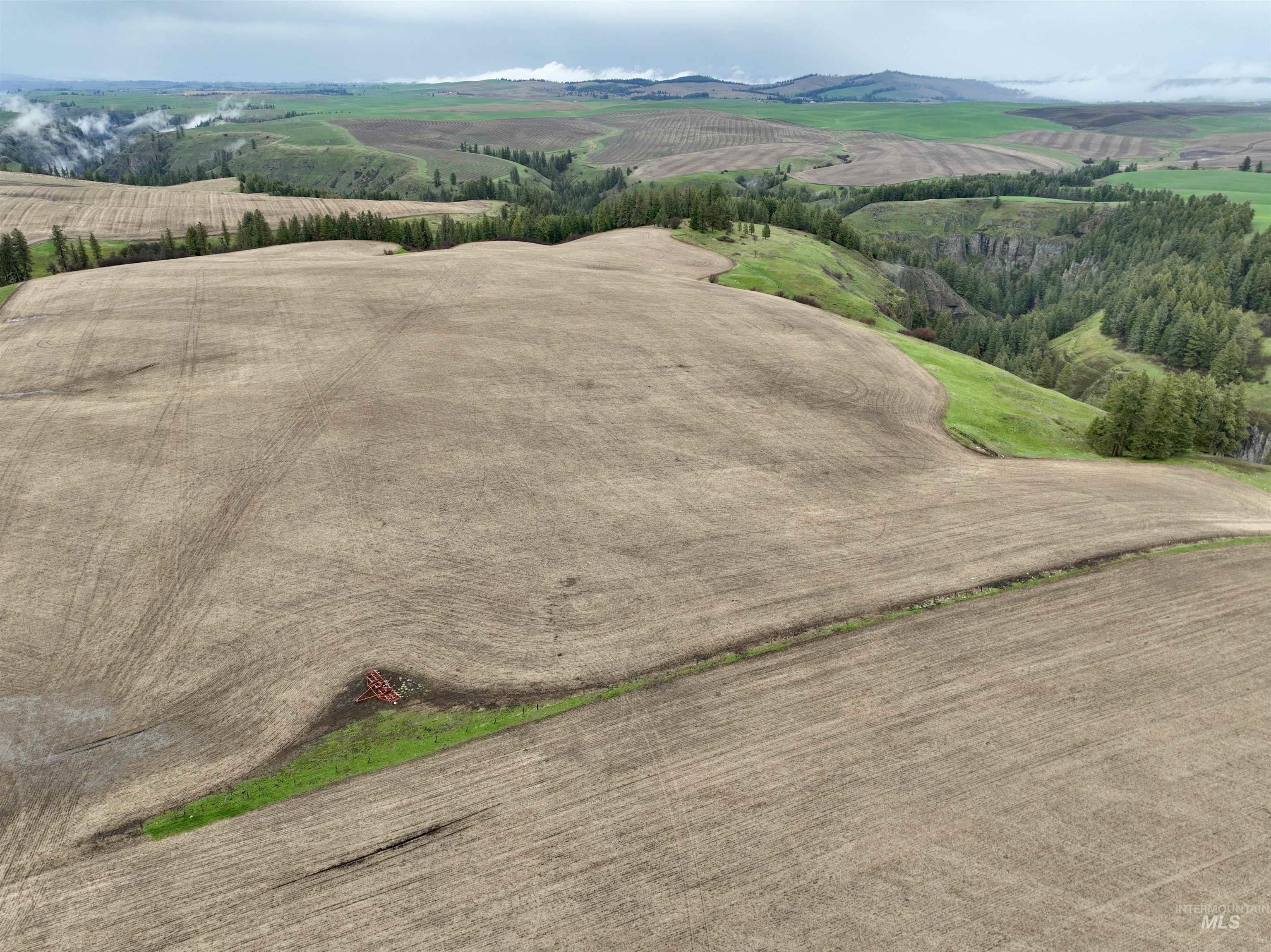 Tbd Tbd Central Ridge Road Craigmont, ID 83523 - Photo 25 of 35