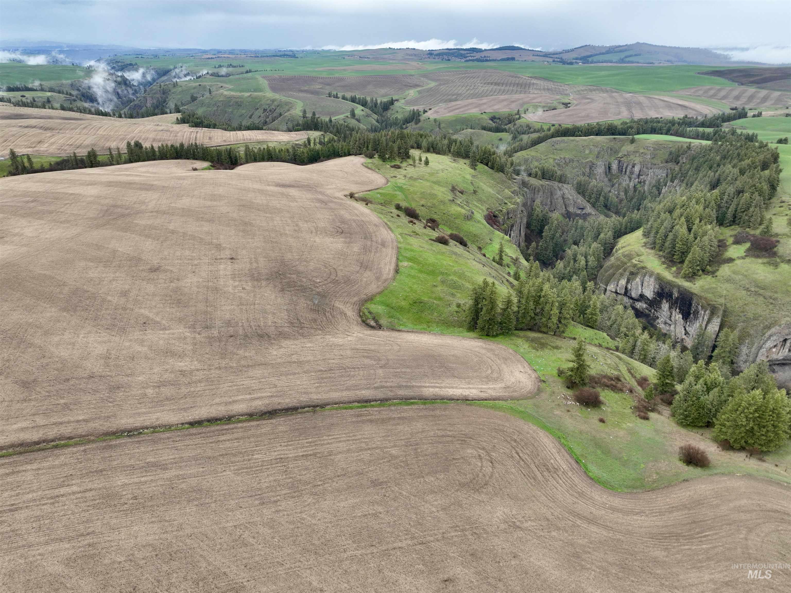 Tbd Tbd Central Ridge Road Craigmont, ID 83523 - Photo 27 of 35