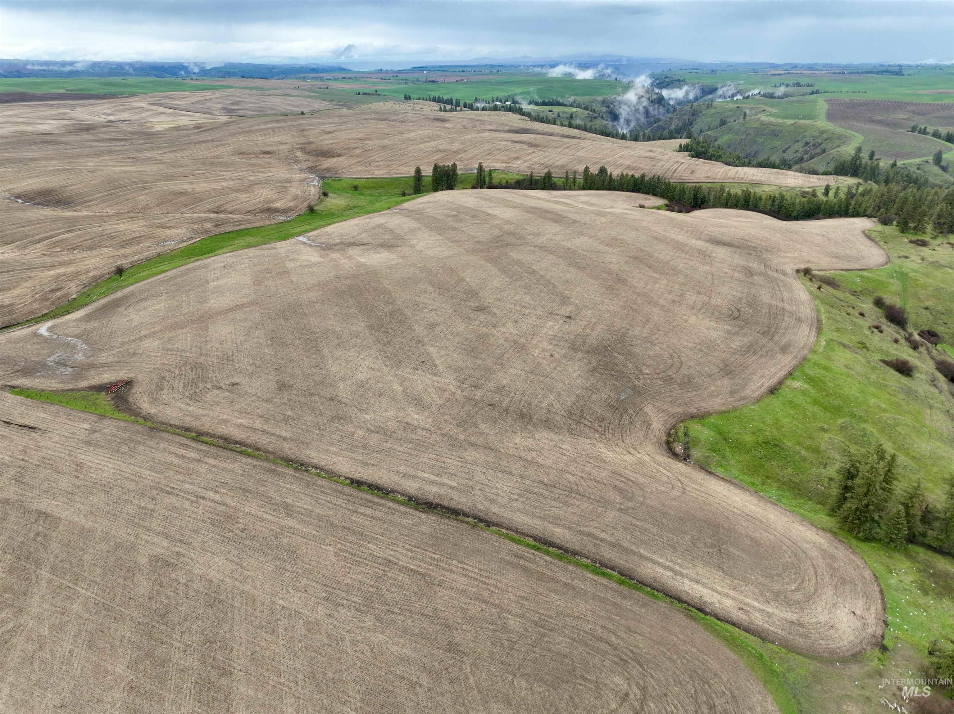 Tbd Tbd Central Ridge Road Craigmont, ID 83523 - Photo 31 of 35