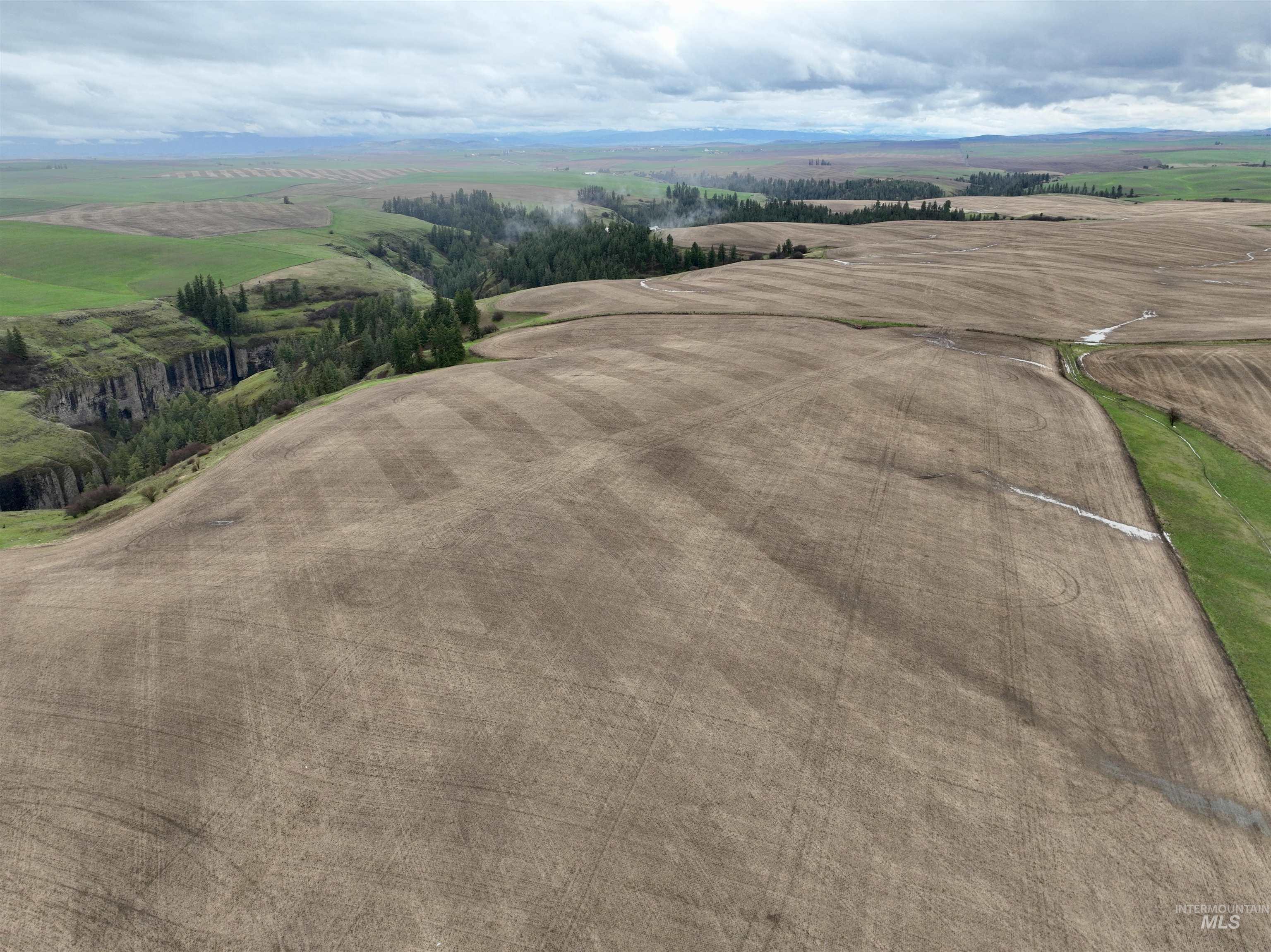Tbd Tbd Central Ridge Road Craigmont, ID 83523 - Photo 34 of 35
