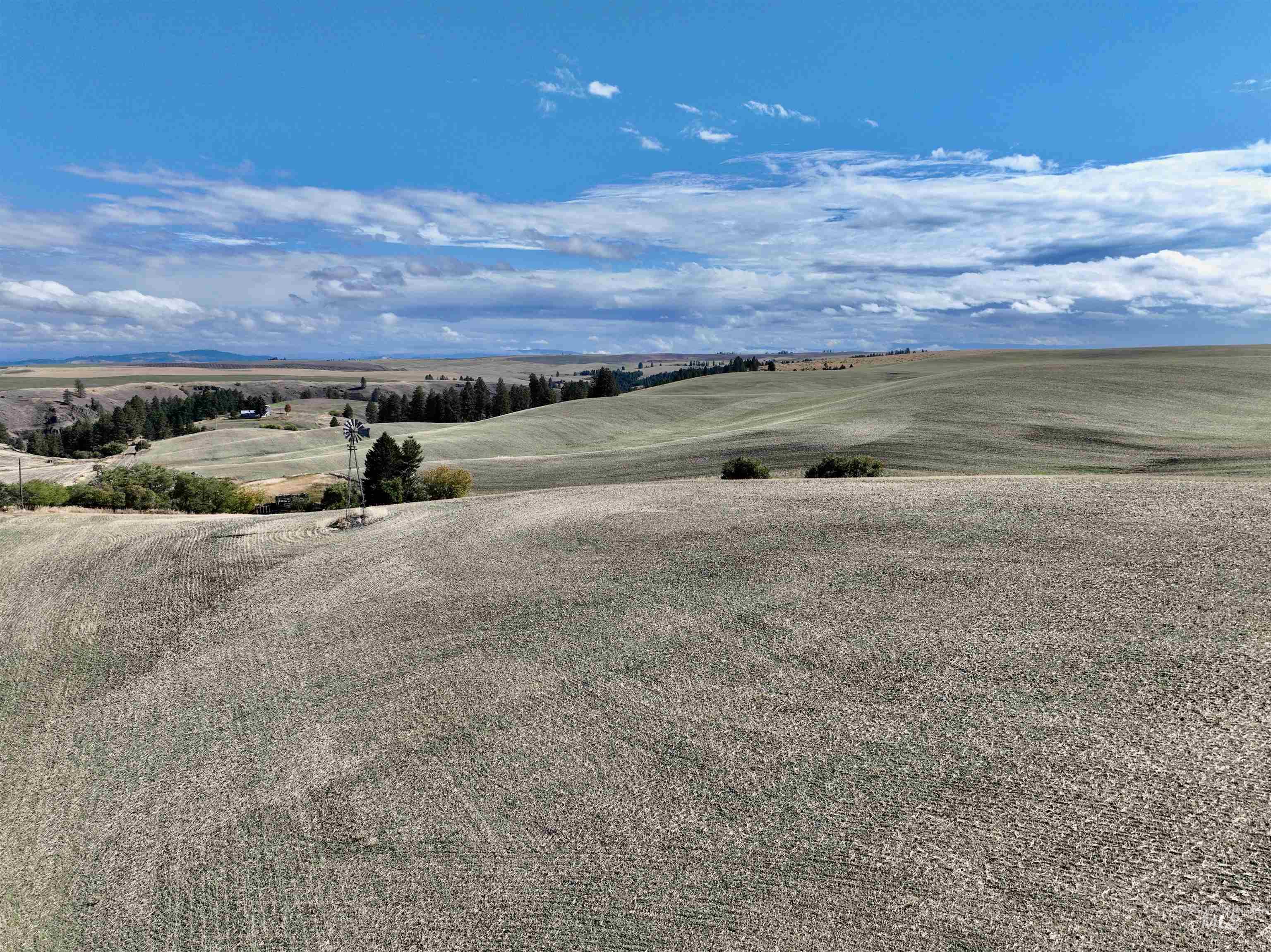 Tbd Tbd Central Ridge Road Craigmont, ID 83523 - Photo 5 of 35