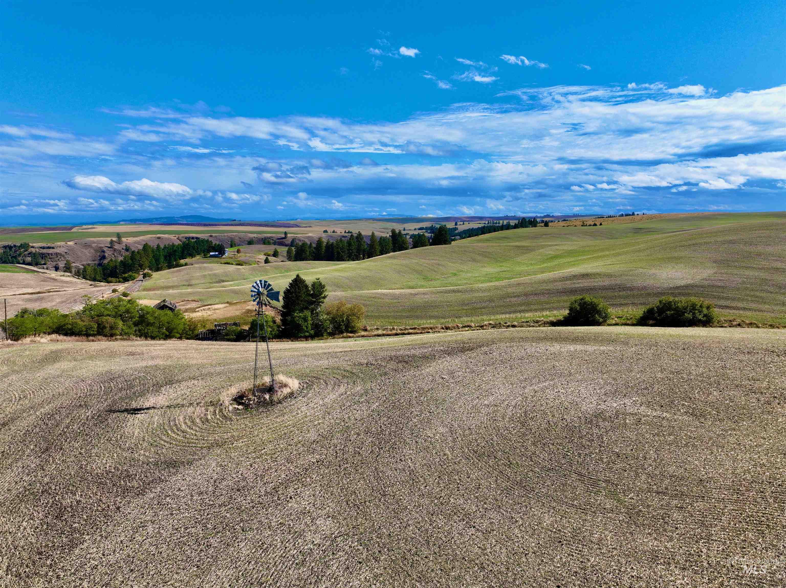 Tbd Tbd Central Ridge Road Craigmont, ID 83523 - Photo 6 of 35