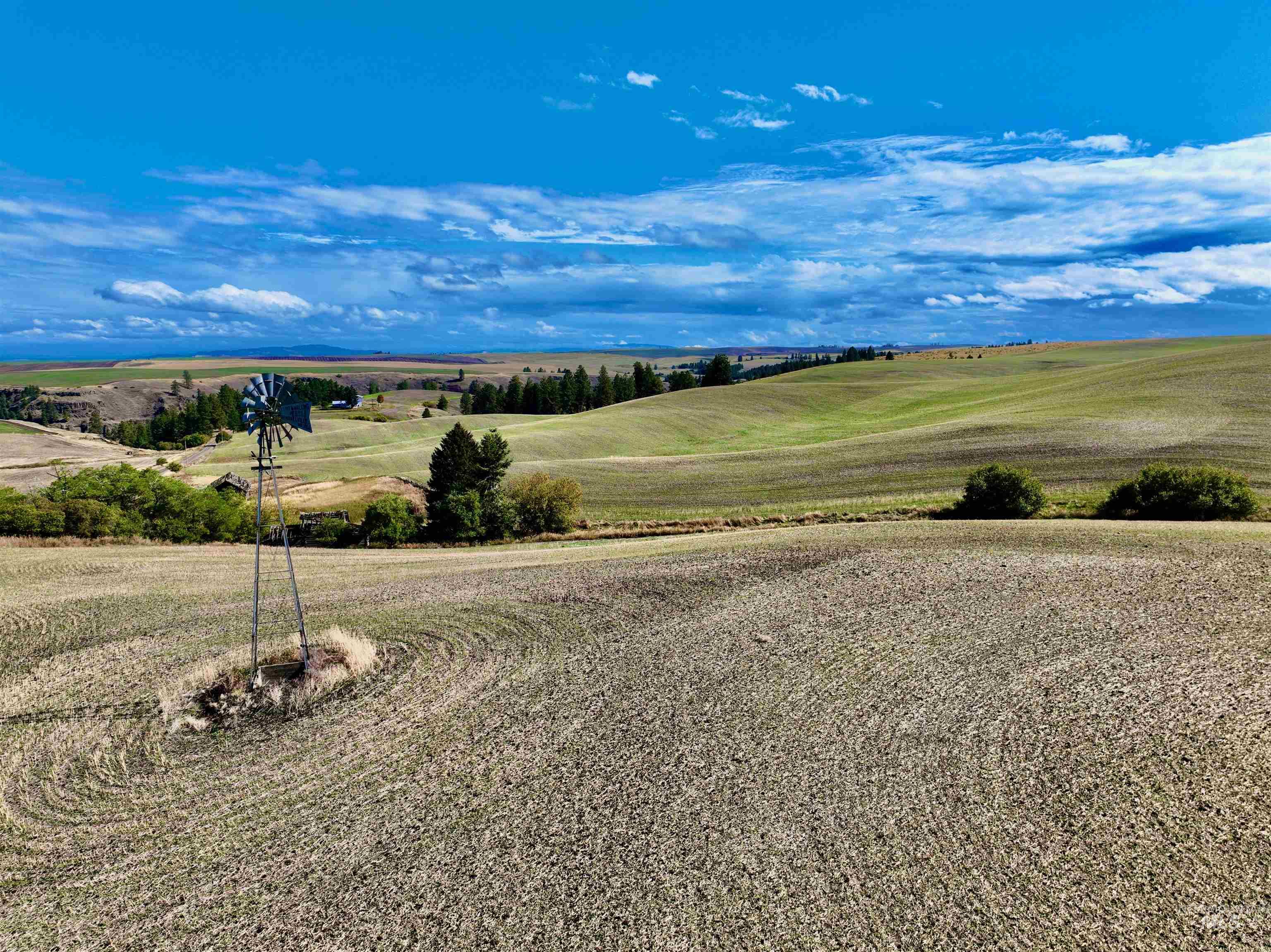 Tbd Tbd Central Ridge Road Craigmont, ID 83523 - Photo 7 of 35