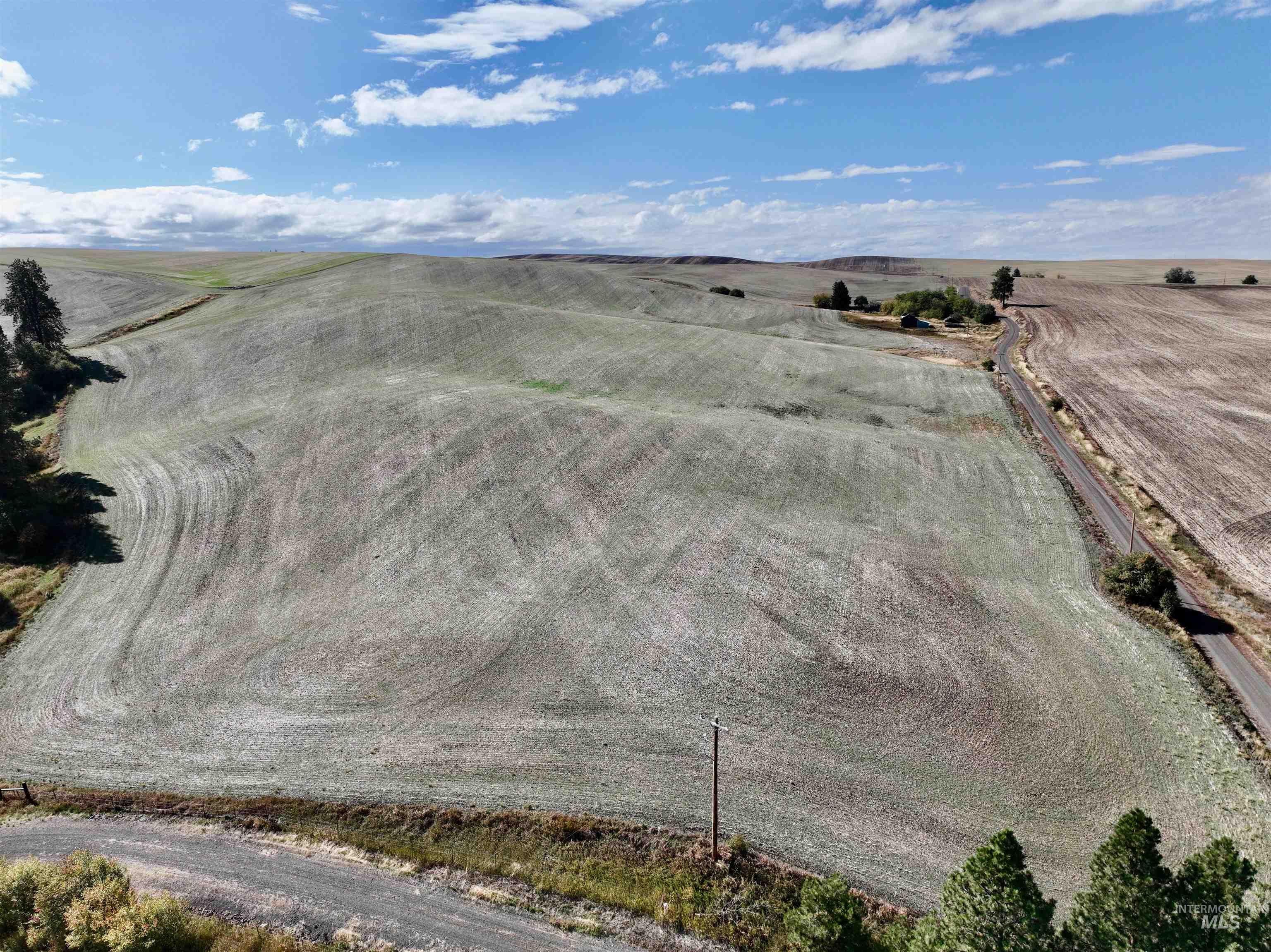 Tbd Tbd Central Ridge Road Craigmont, ID 83523 - Photo 8 of 35