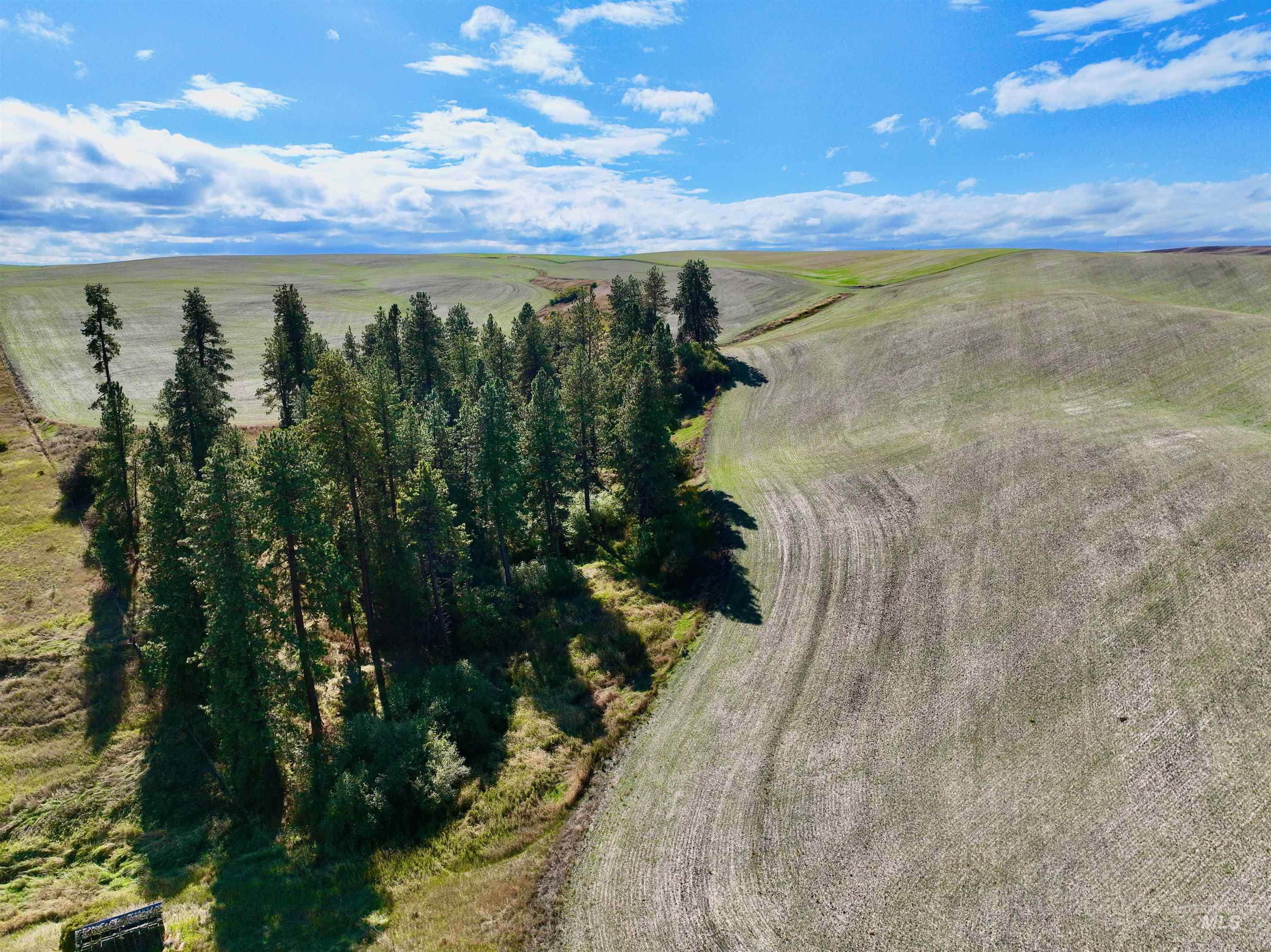 Tbd Tbd Central Ridge Road Craigmont, ID 83523 - Photo 9 of 35