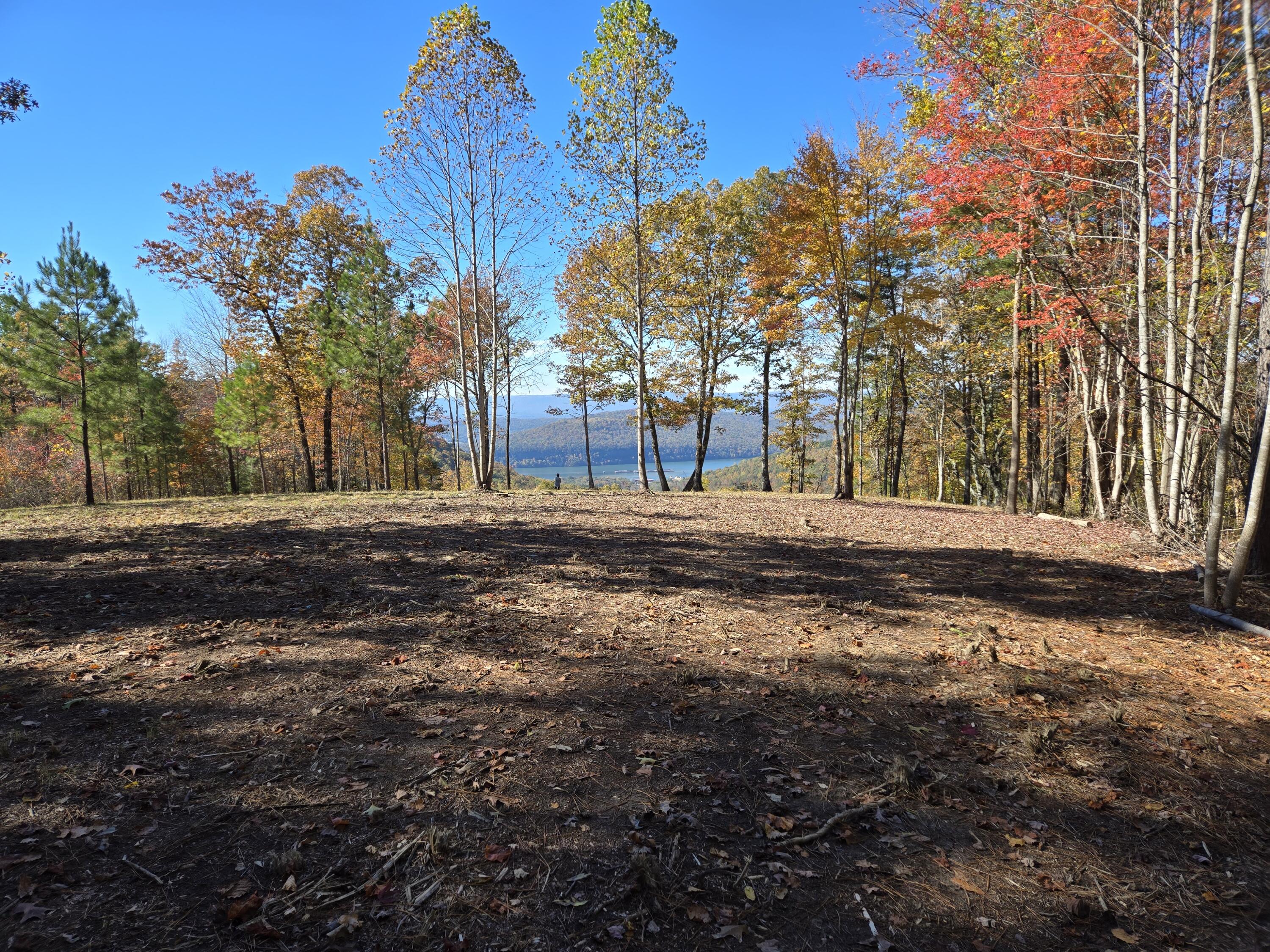 Lot 1070 Birds Eye Way Guild, TN 37340 - Photo 10 of 14 Room to Roam