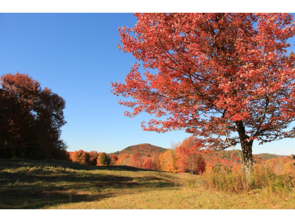 0 Augur Hole Road Brattleboro, VT 05301 - Photo 14 of 15 Gallery Image 14