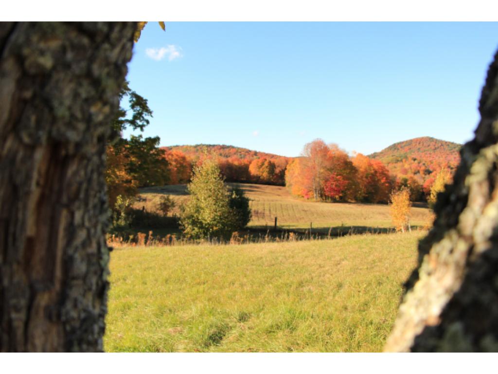 0 Augur Hole Road Brattleboro, VT 05301 - Photo 8 of 15 Gallery Image 8