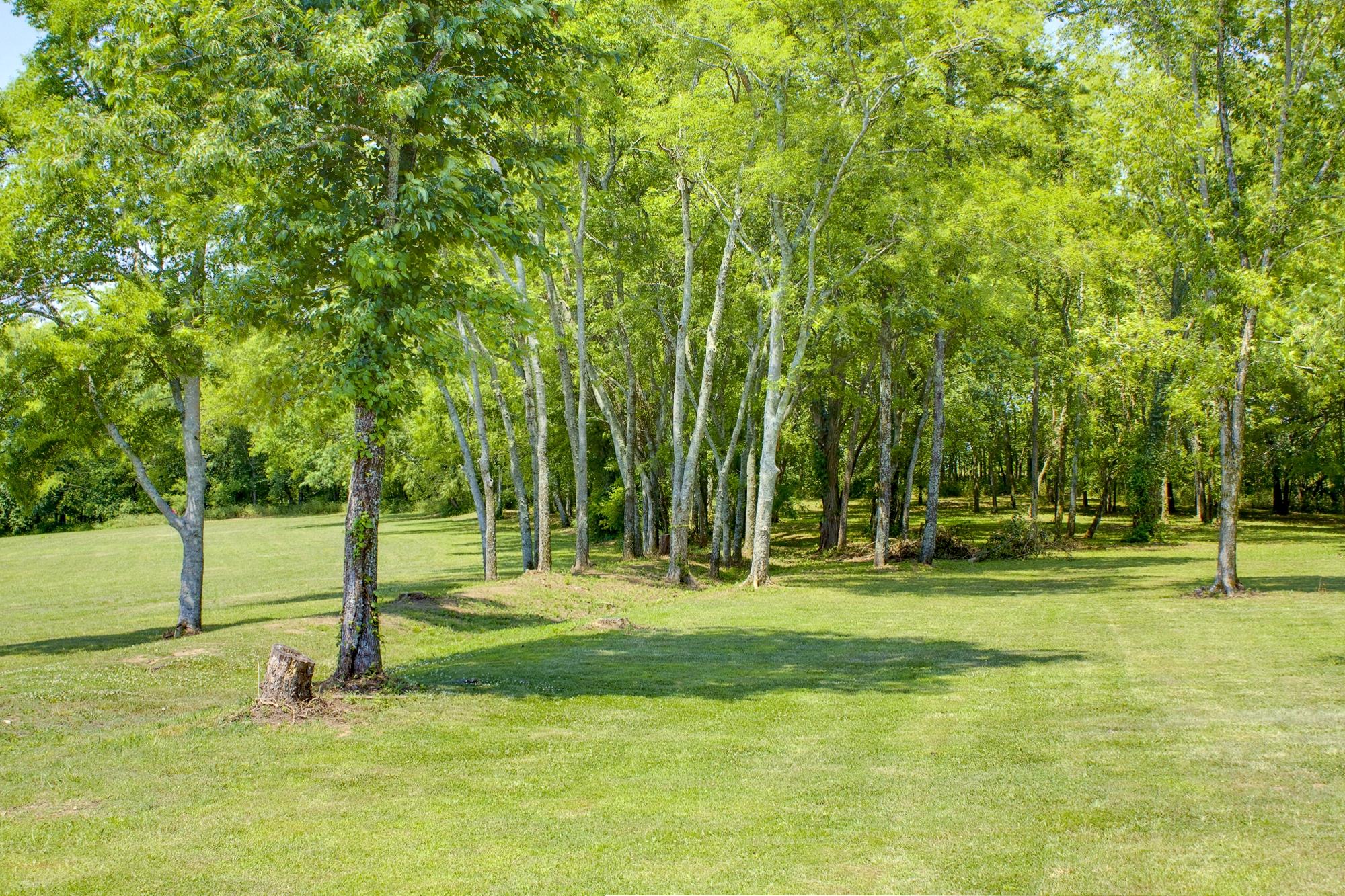 4324 Murfreesboro Road Franklin, TN 37067 - Photo 1 of 2 a view of a park with a tree