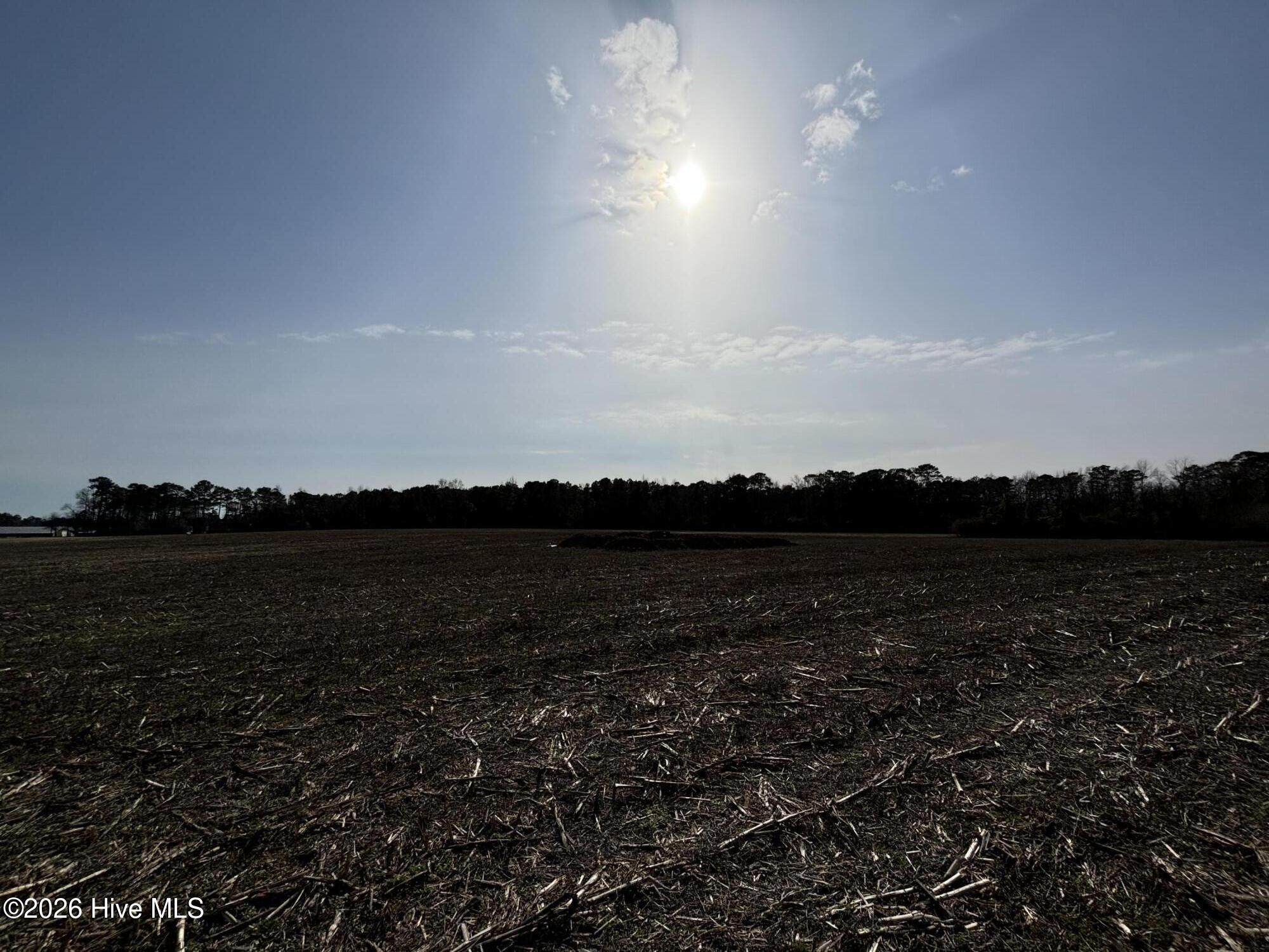 0 James Road Wallace, NC 28466 - Photo 2 of 6 IMG_3887