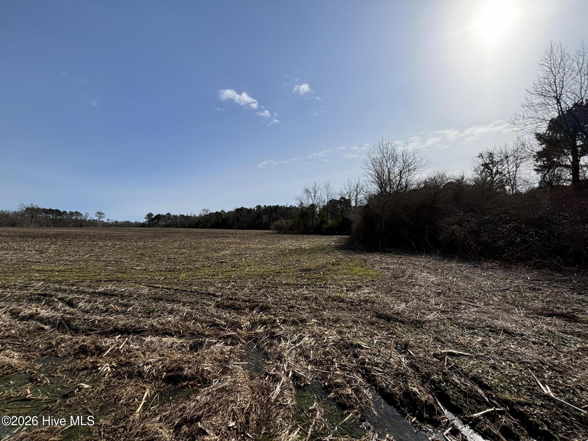 0 James Road Wallace, NC 28466 - Photo 3 of 6 IMG_3894