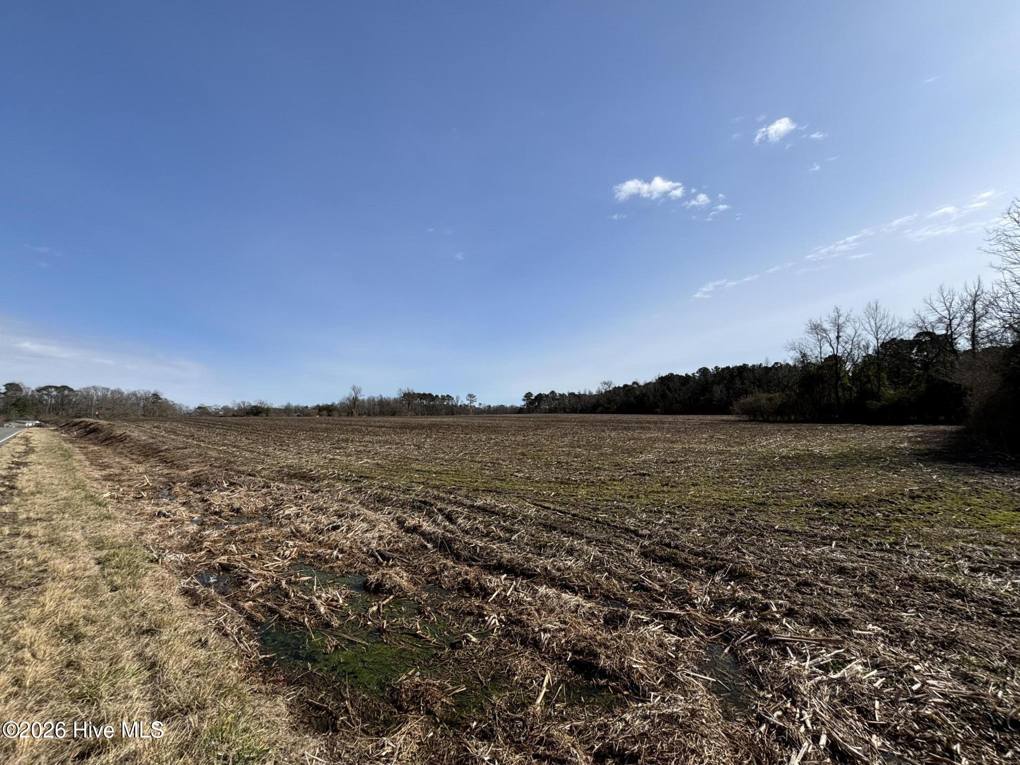 0 James Road Wallace, NC 28466 - Photo 4 of 6 IMG_3896