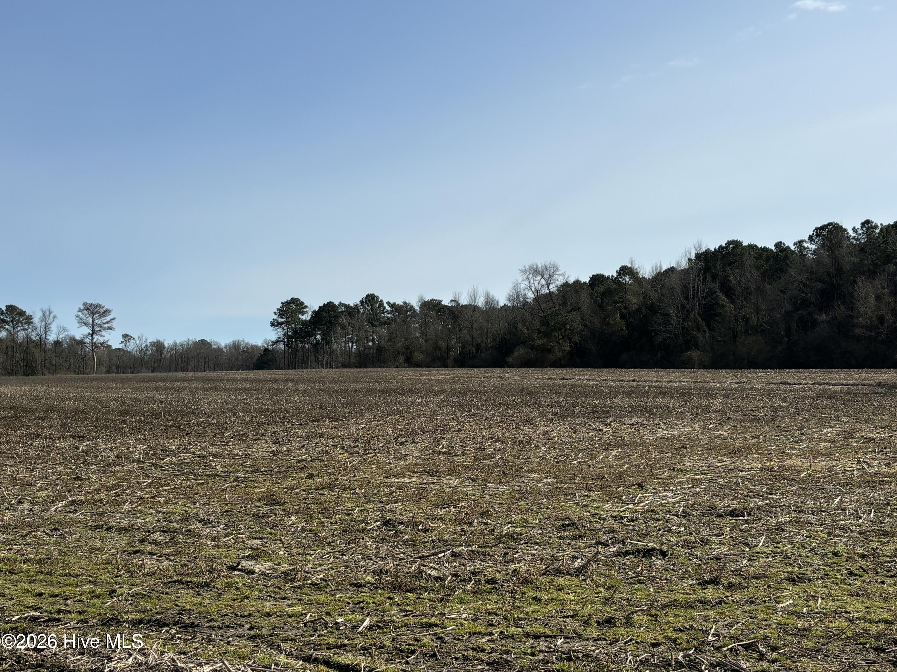 0 James Road Wallace, NC 28466 - Photo 5 of 6 IMG_3897