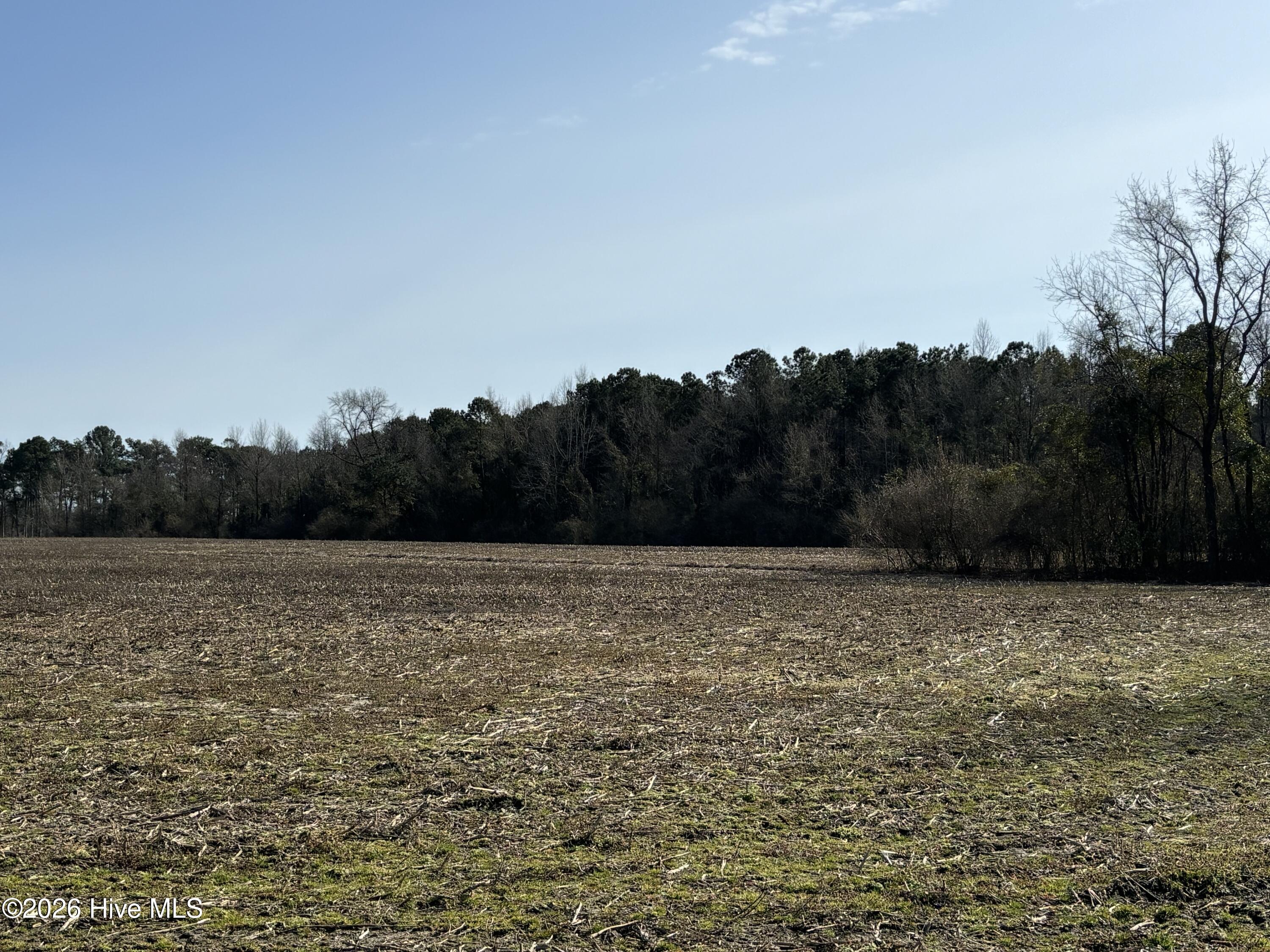 0 James Road Wallace, NC 28466 - Photo 6 of 6 IMG_3898