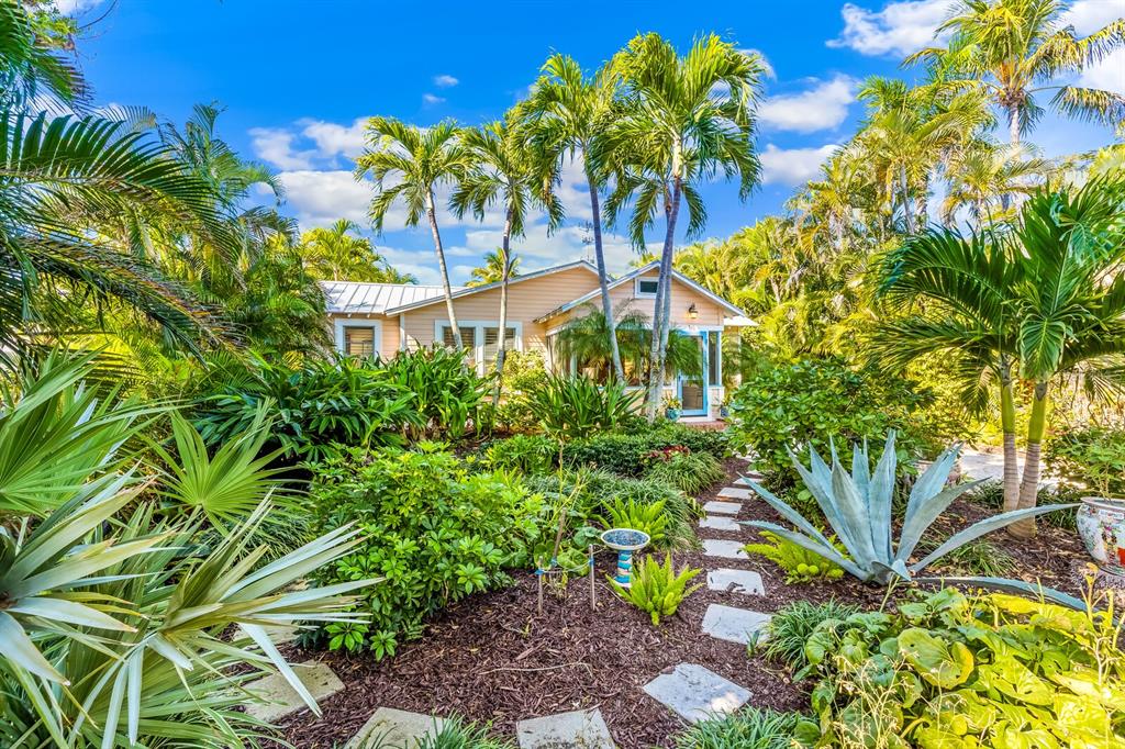 361 Tarpon Avenue Boca Grande, FL 33921 - Photo 2 of 25 a view of a palm plant with a plant