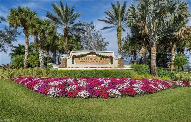 a view of a park with plants and palm trees