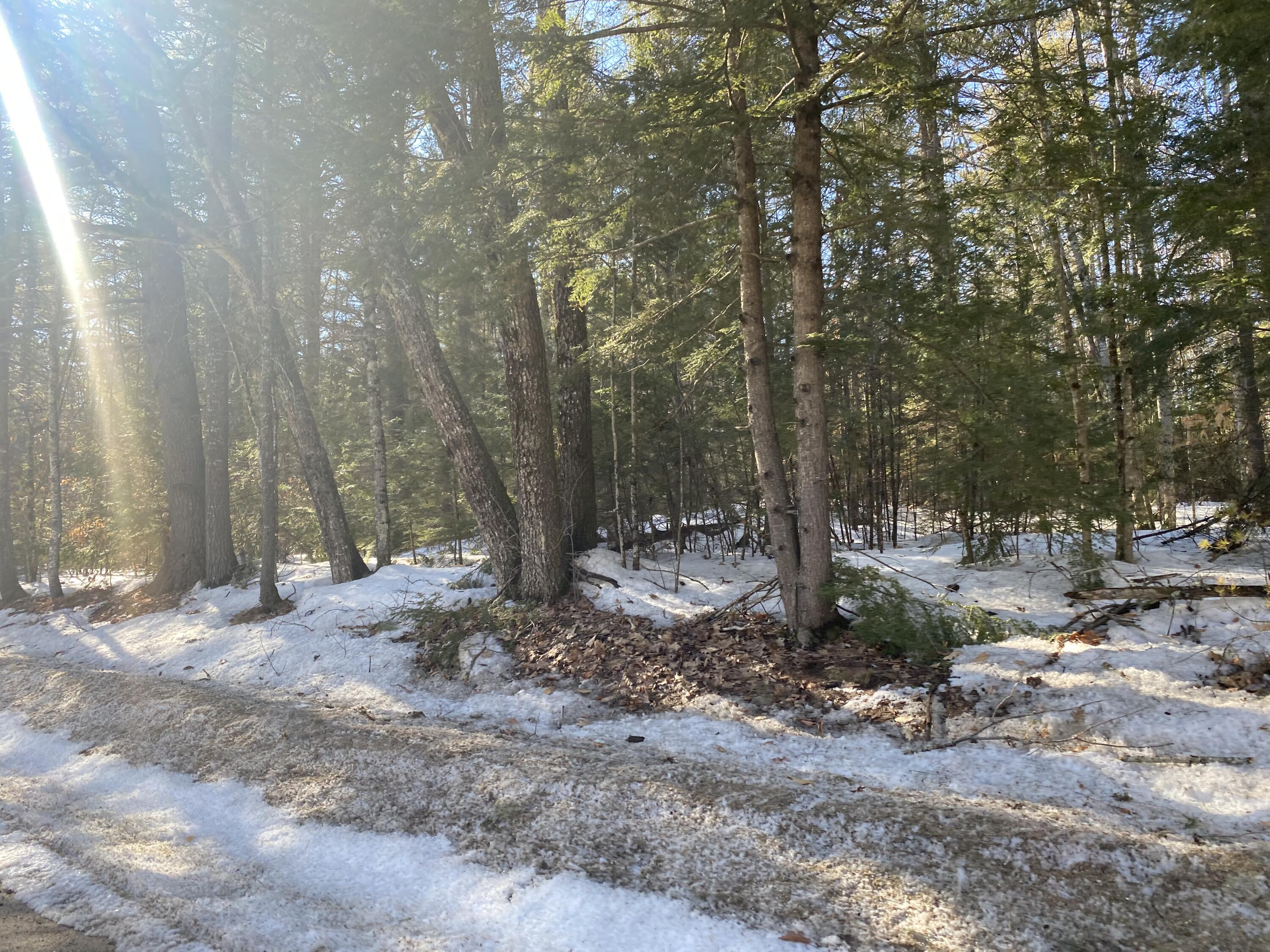 4.4-acres Sebago Road East Baldwin, ME 04024 - Photo 3 of 4 E79E452D-21C3-43D1-BE47-60F807B48157
