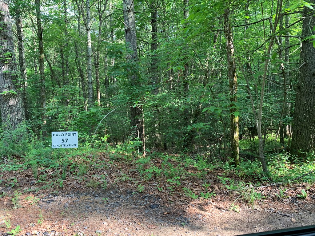 Lot 57 Rainy Farm Road Murphy, NC 28906 - Photo 3 of 4